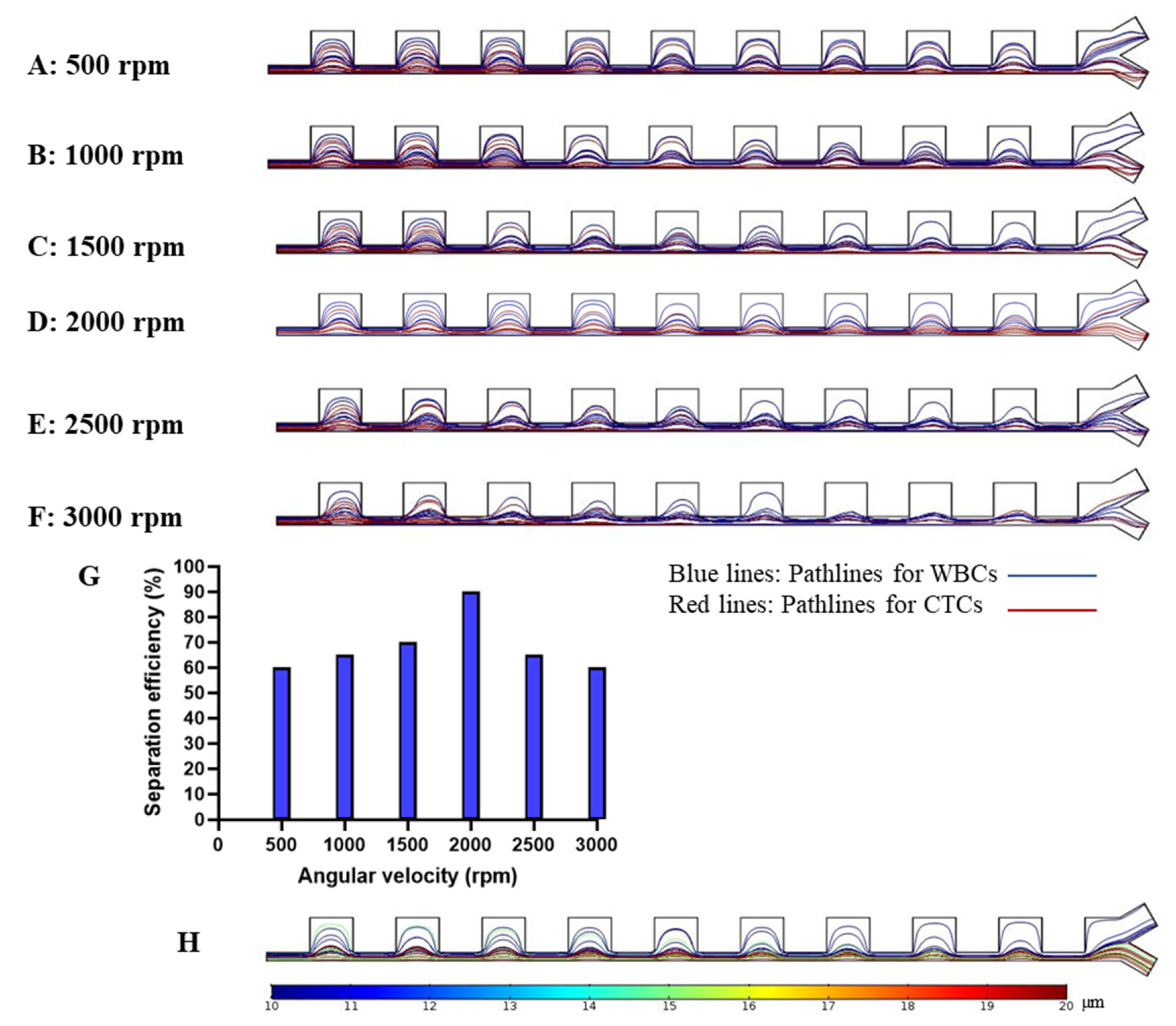 Micromachines 11 00699 g005