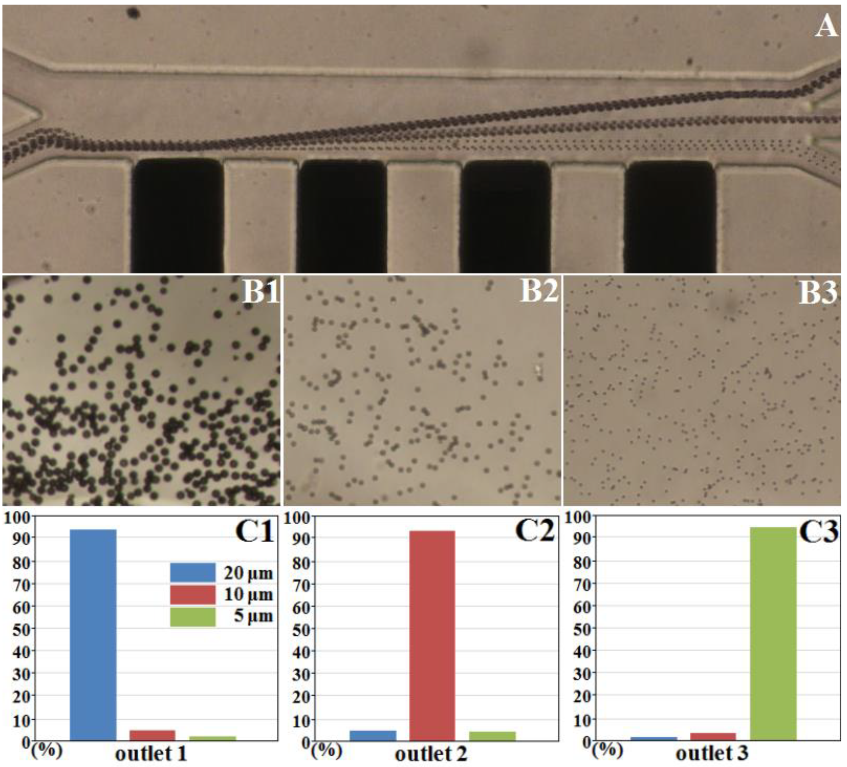 Micromachines 11 00700 g005