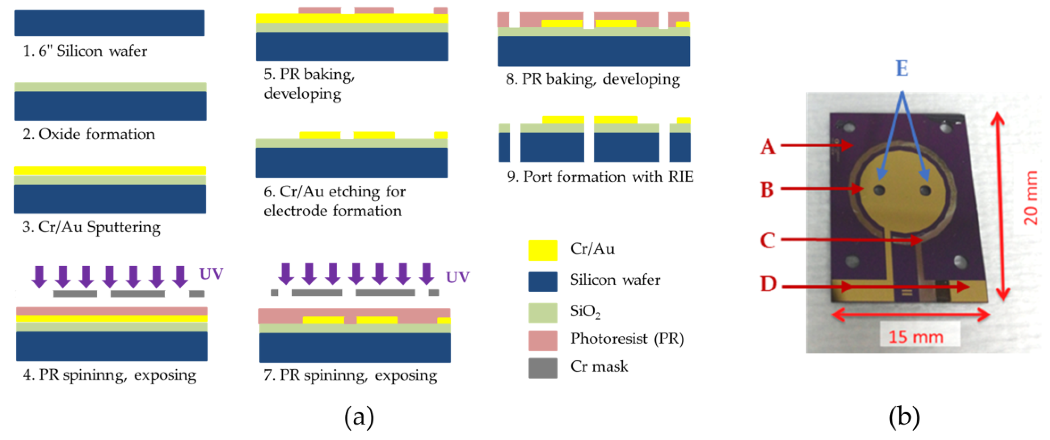 Micromachines 11 00703 g002 Micromachines 11 00703 g002