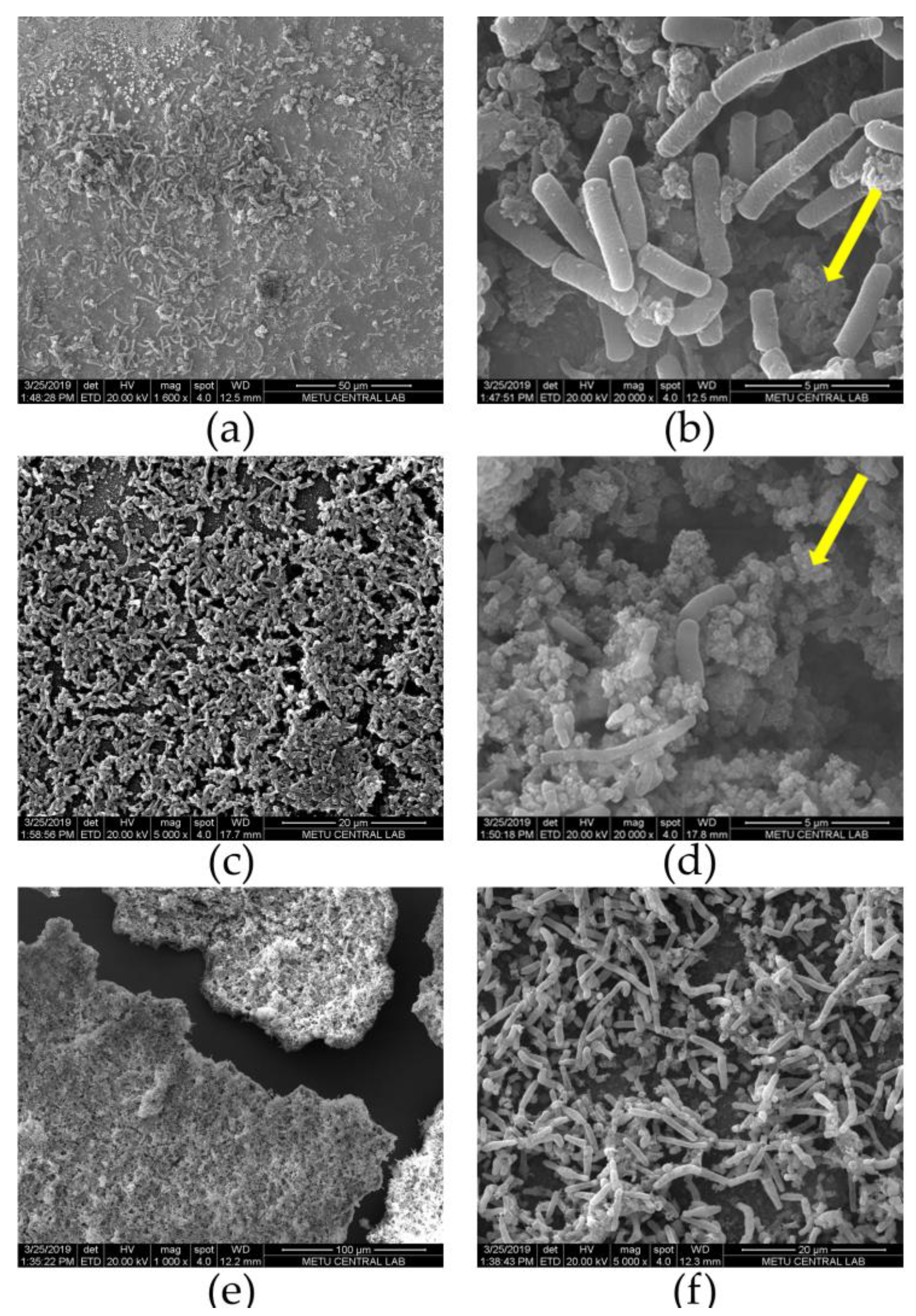 Micromachines 11 00703 g009 Micromachines 11 00703 g009