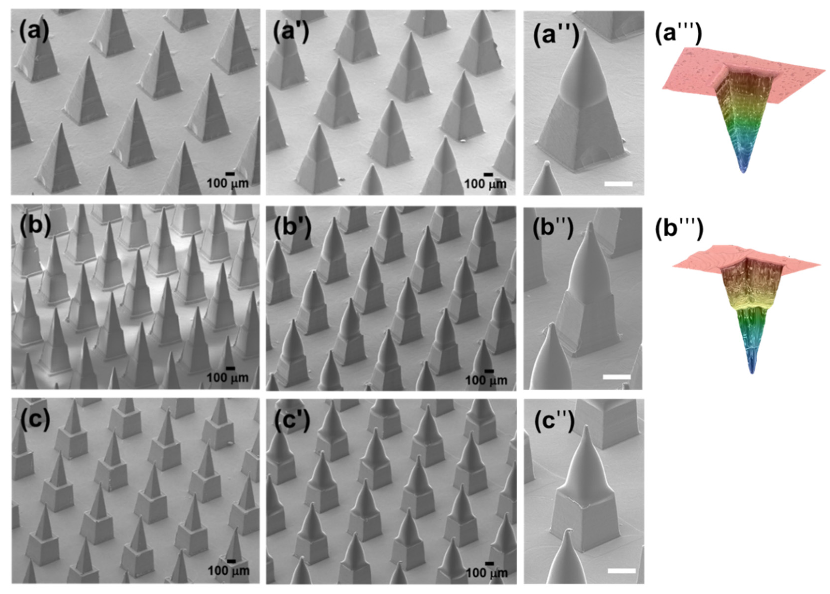 Micromachines 11 00710 g001