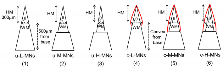 Micromachines 11 00710 i001