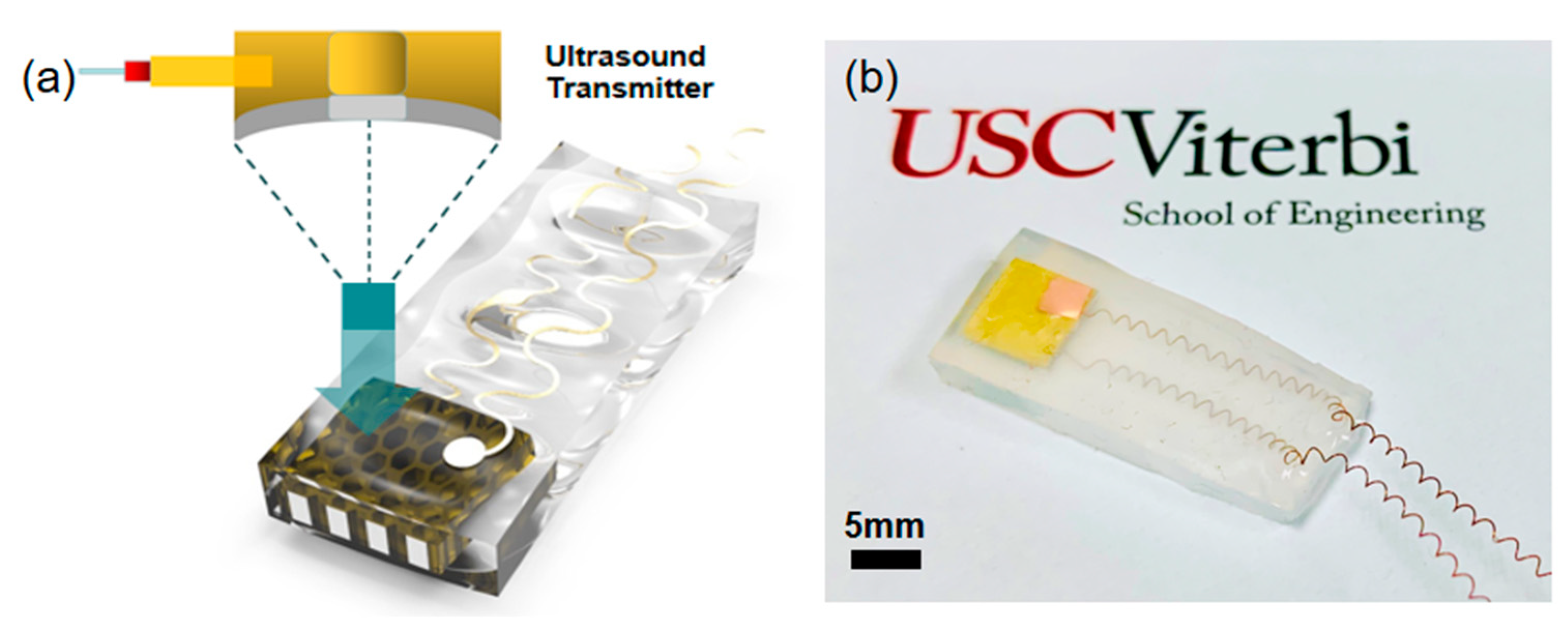 Micromachines 11 00713 g007