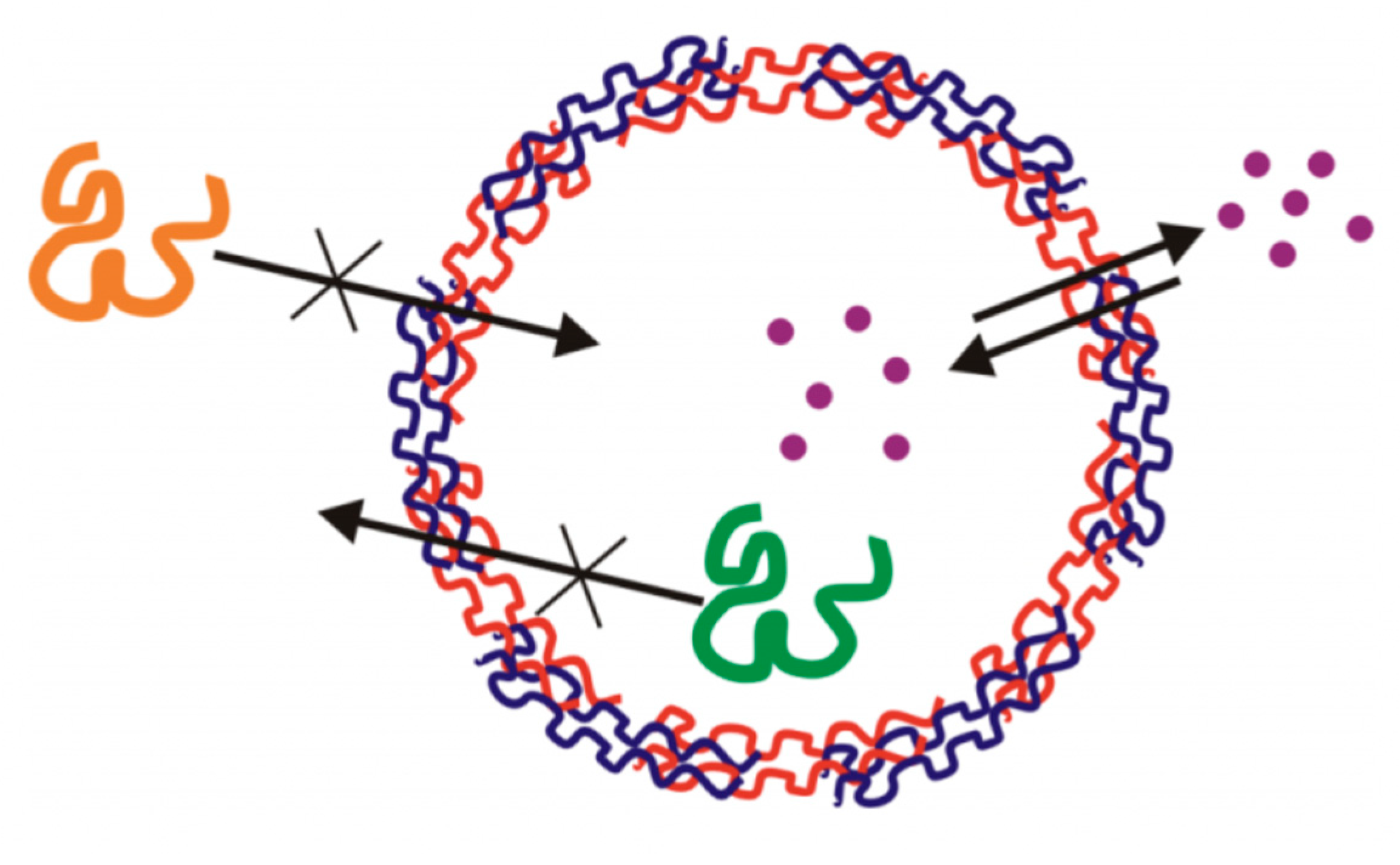 Micromachines 11 00717 g001