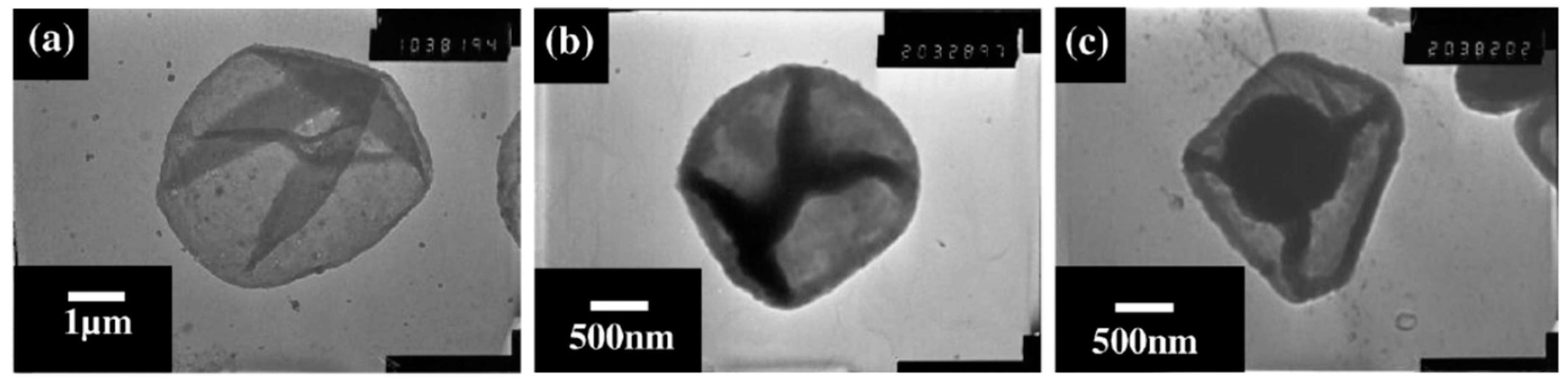 Micromachines 11 00717 g005