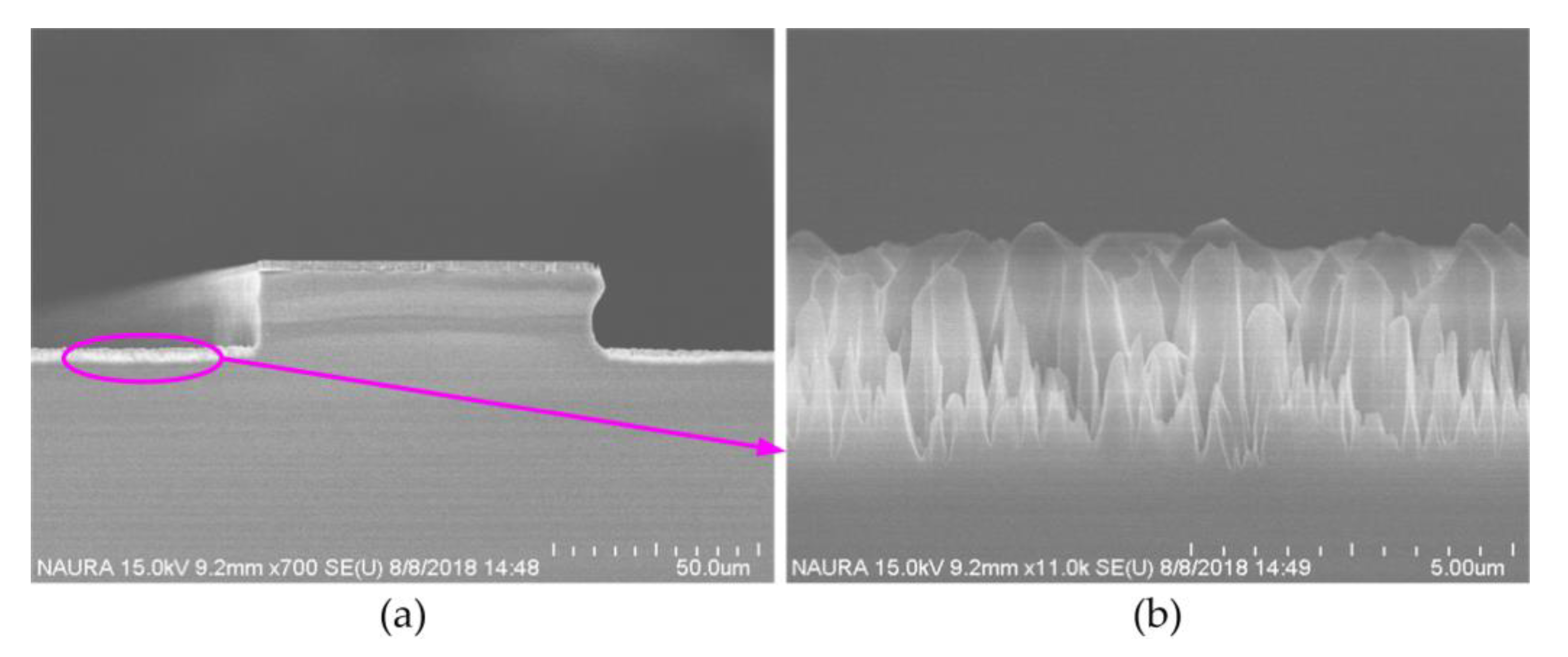 Micromachines 11 00724 g005
