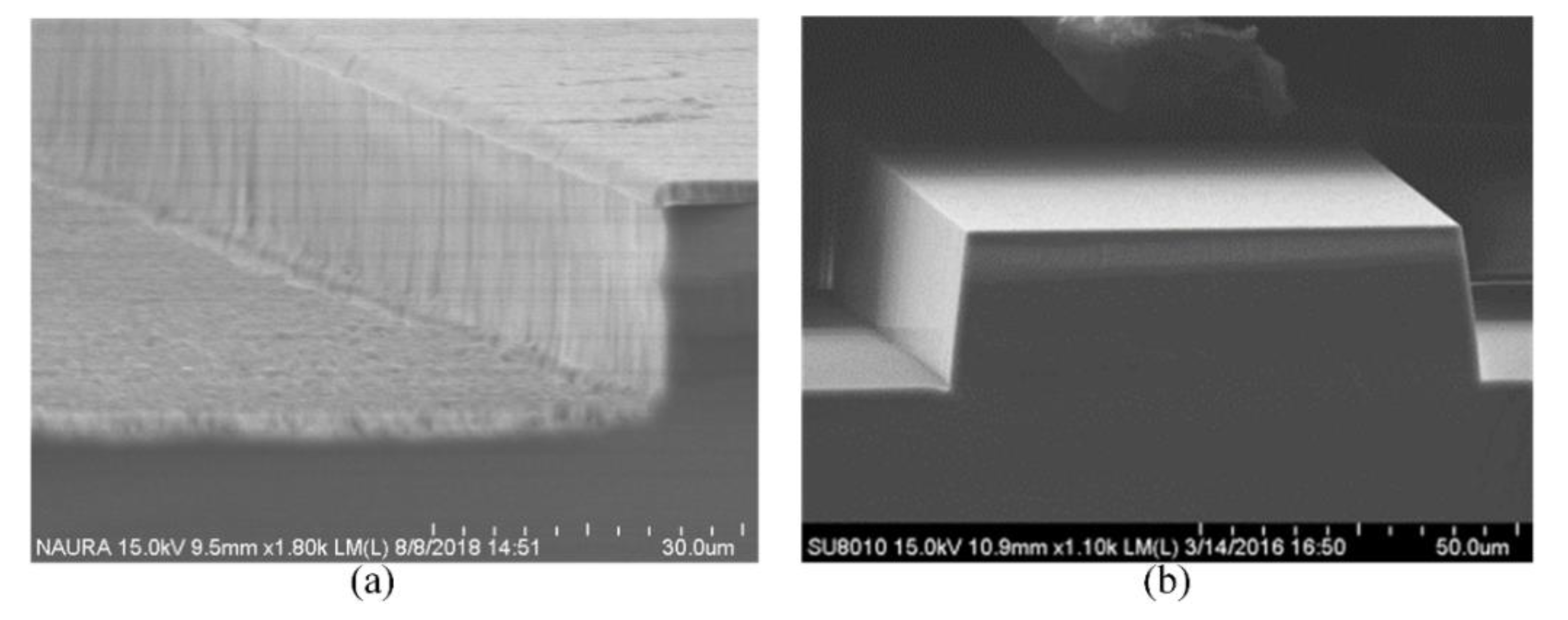 Micromachines 11 00724 g015