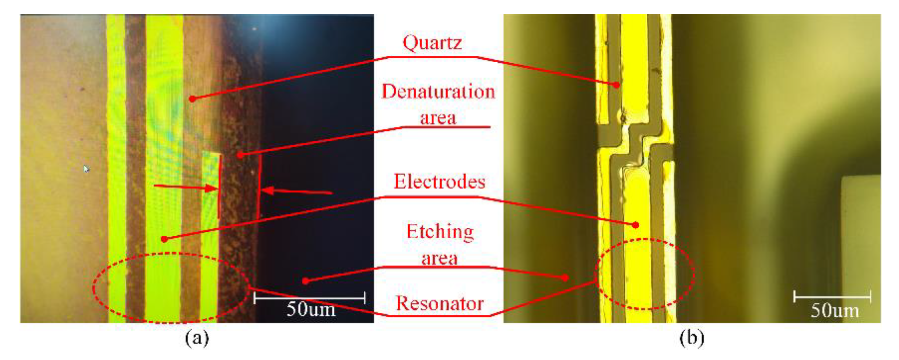 Micromachines 11 00724 g019