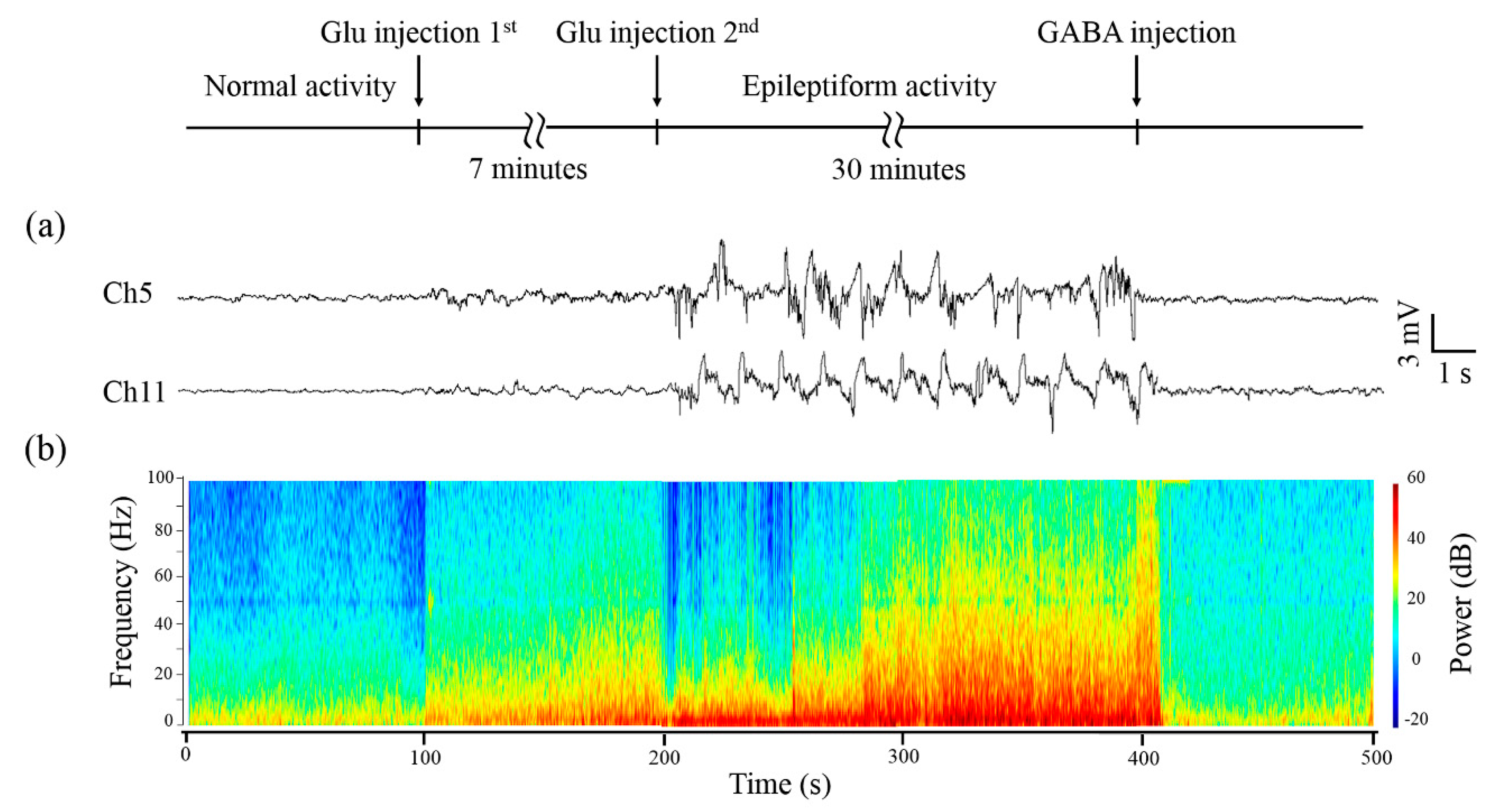 Micromachines 11 00732 g005