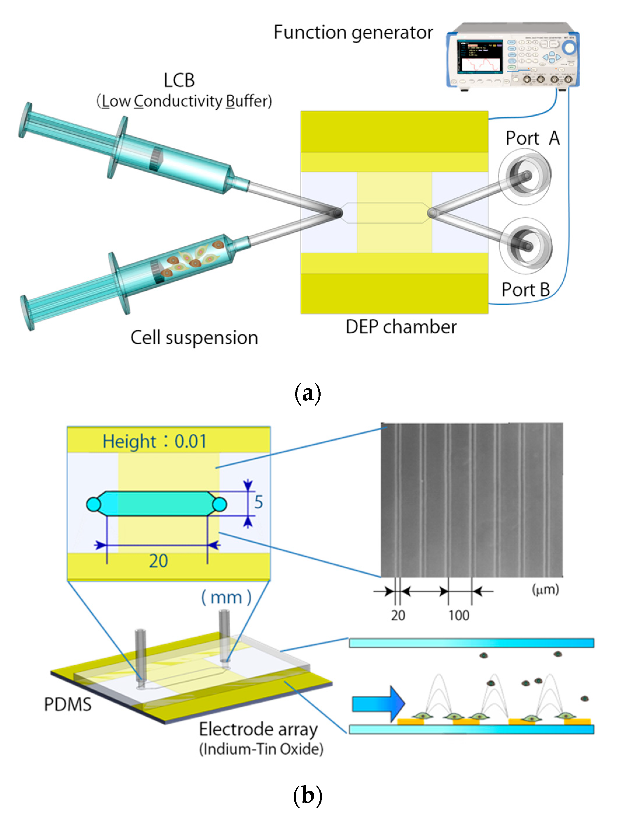 Micromachines 11 00734 g002 Micromachines 11 00734 g002