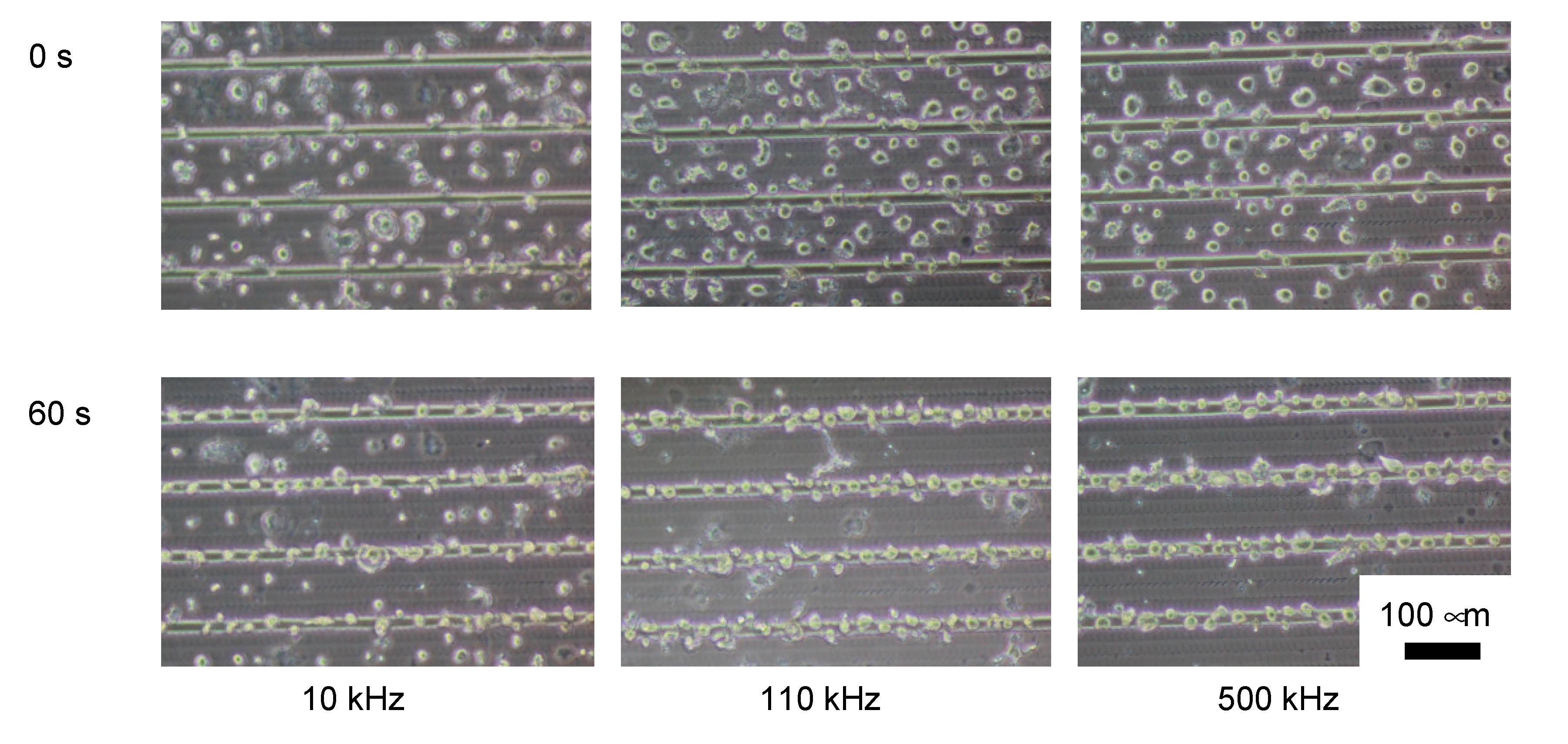 Micromachines 11 00734 g006 Micromachines 11 00734 g006