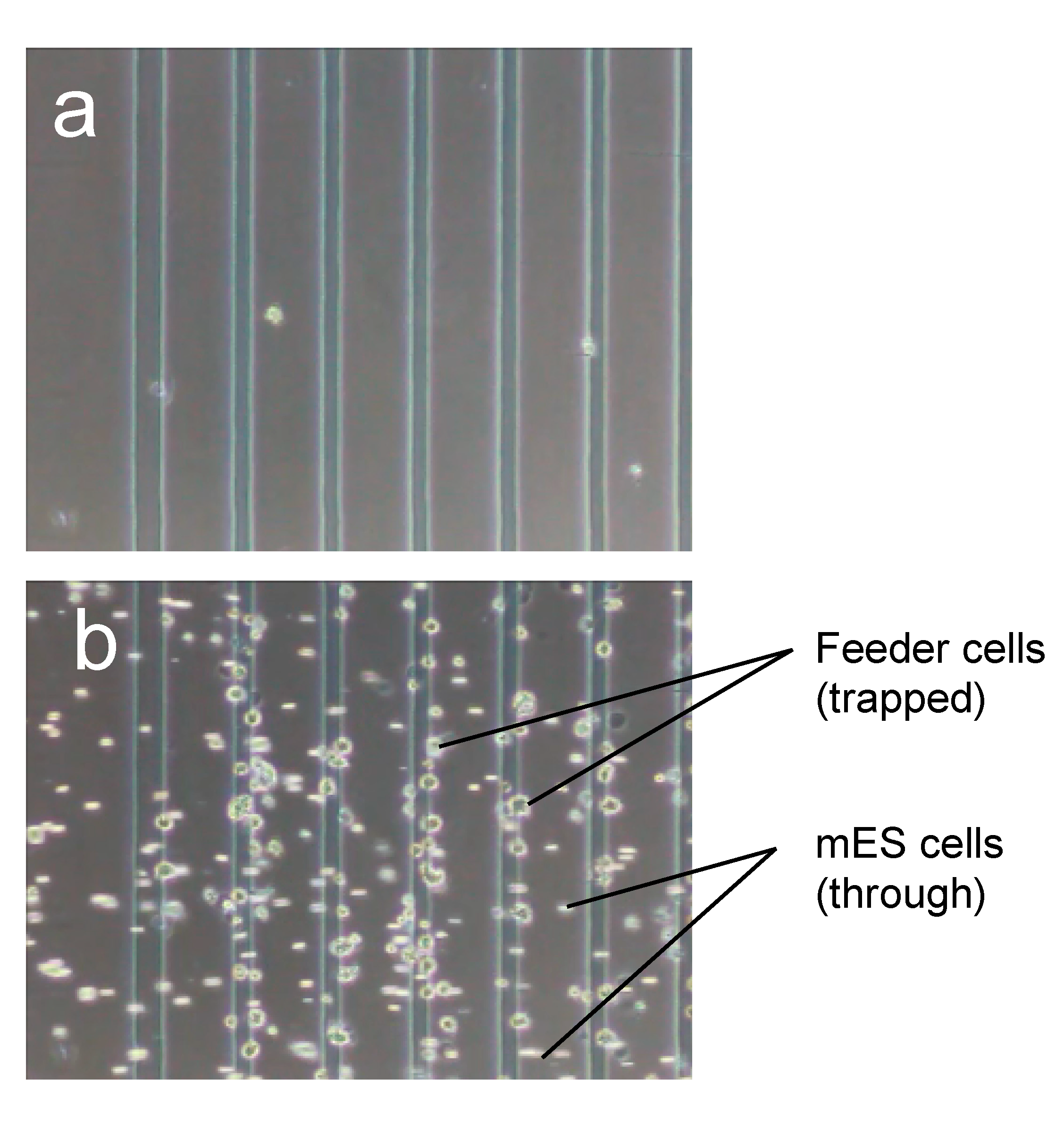 Micromachines 11 00734 g008a Micromachines 11 00734 g008a