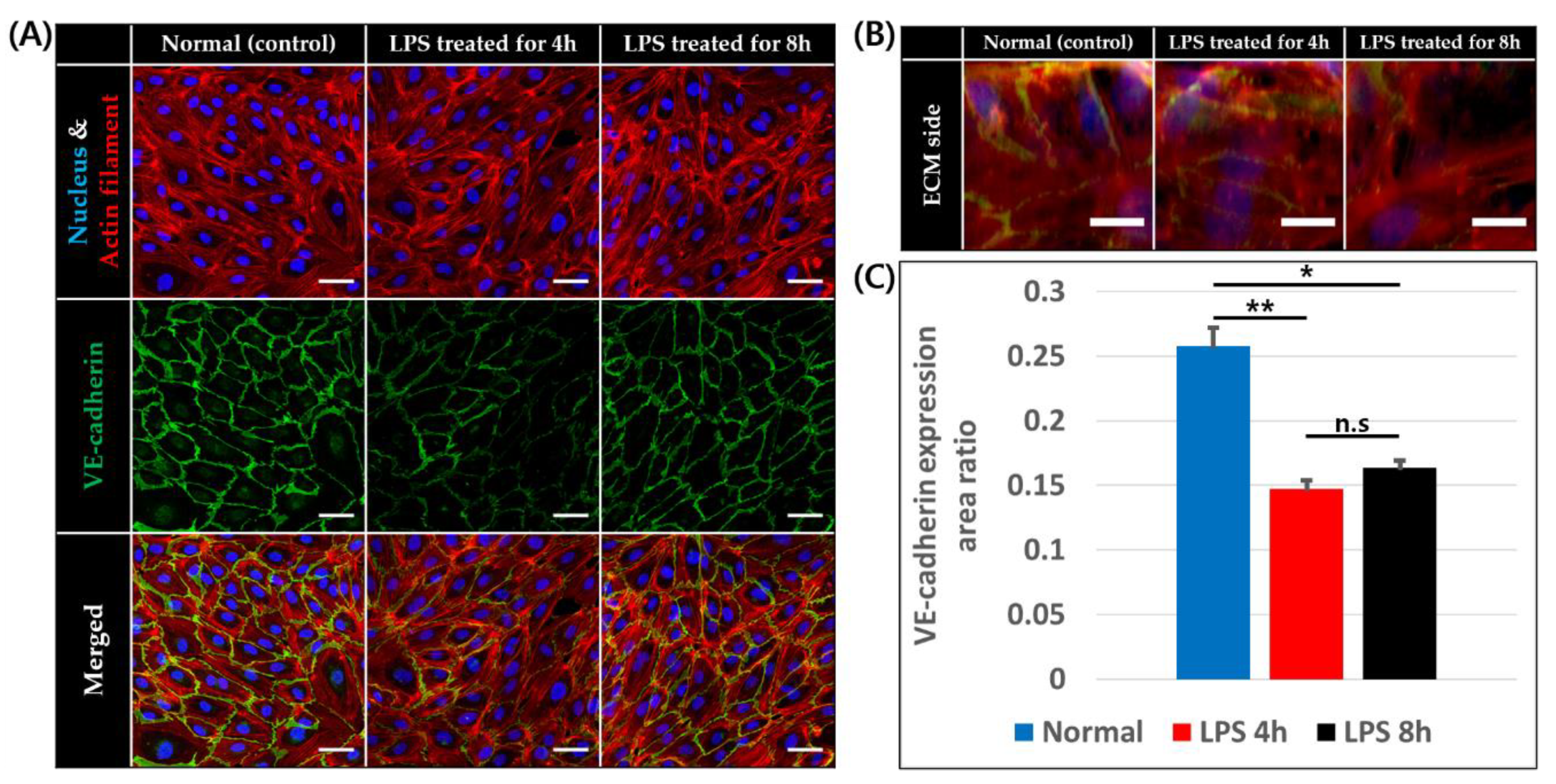 Micromachines 11 00747 g004 Micromachines 11 00747 g004