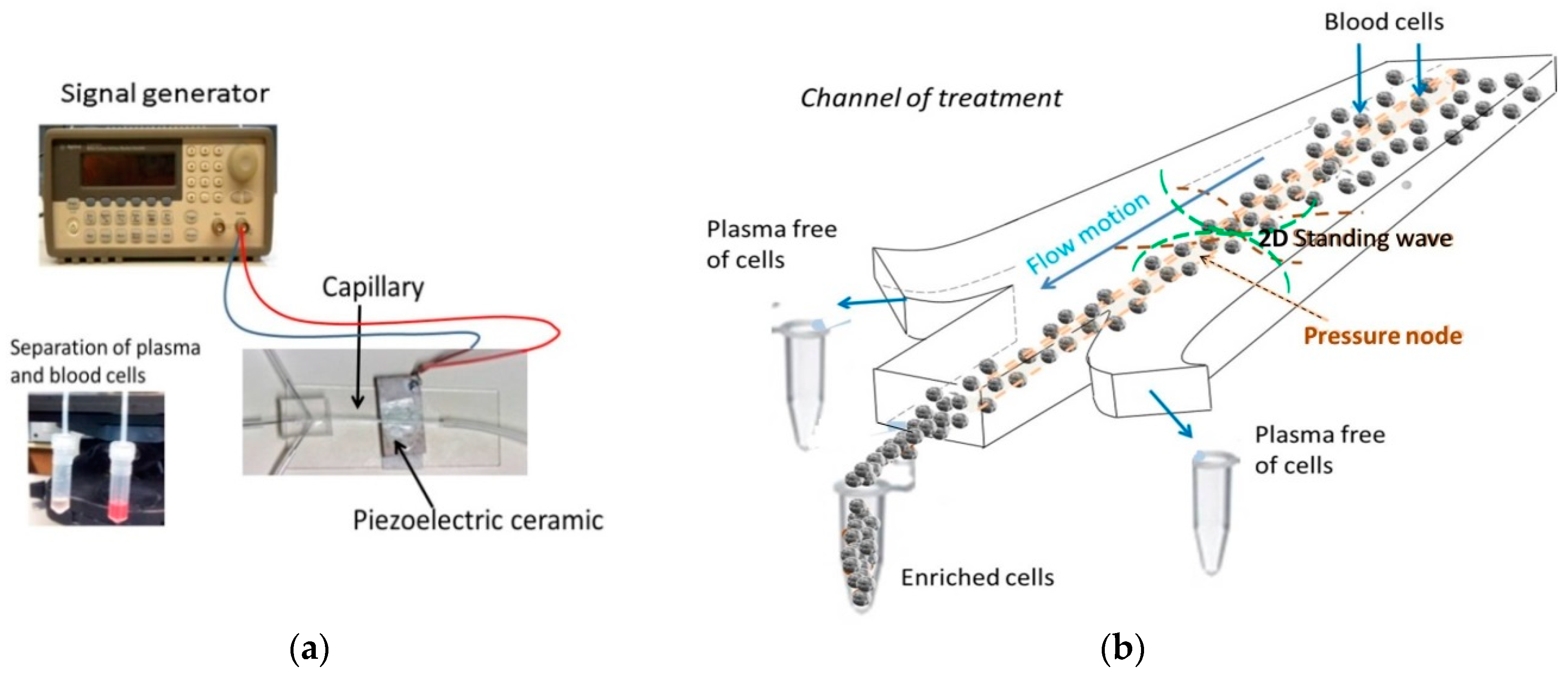 Micromachines 11 00751 g001