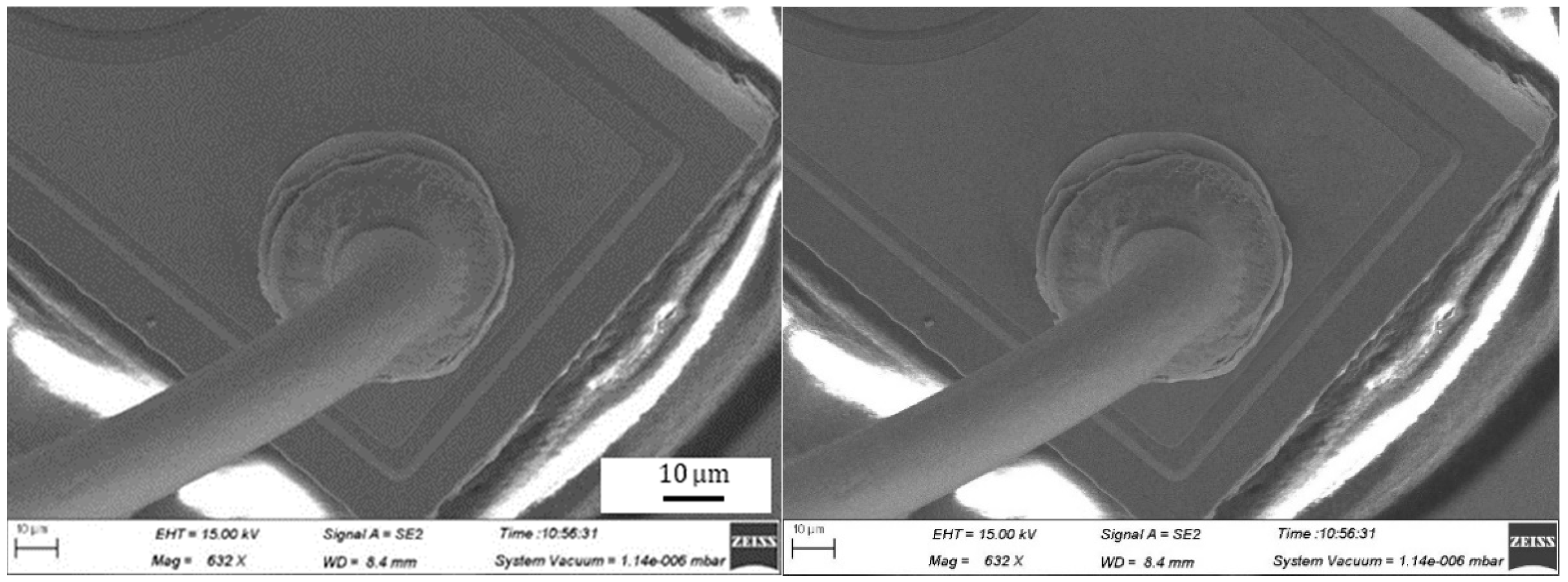 Micromachines 11 00777 g010