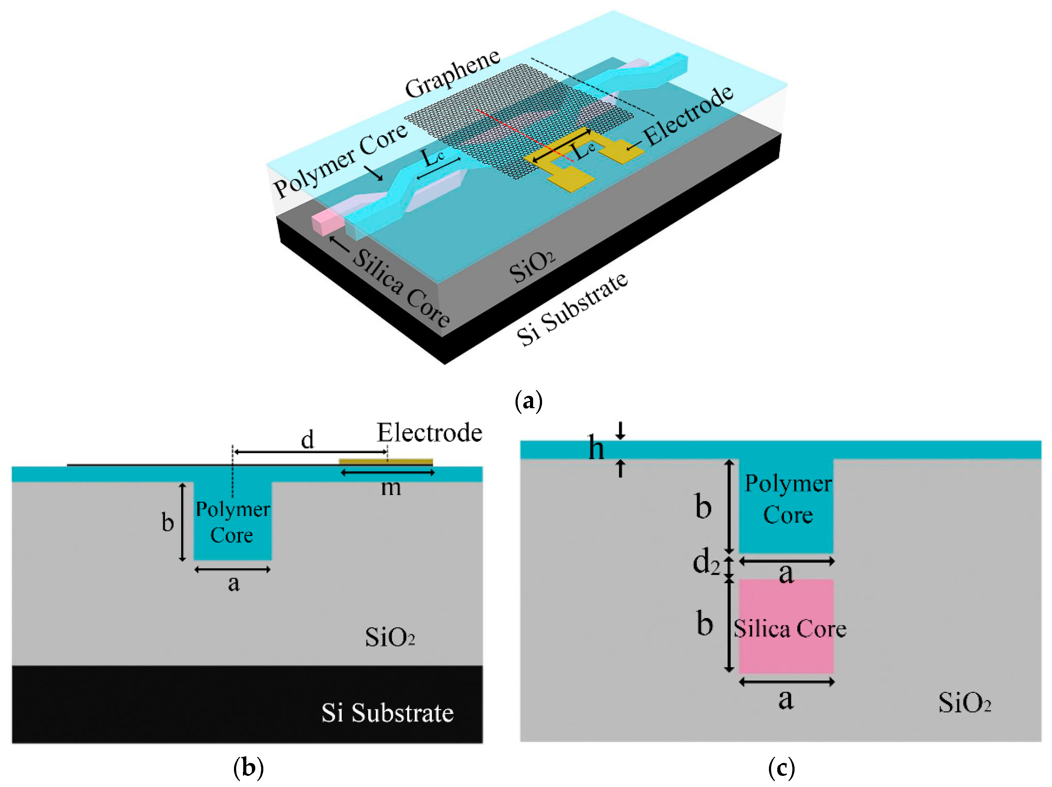 Micromachines 11 00783 g001