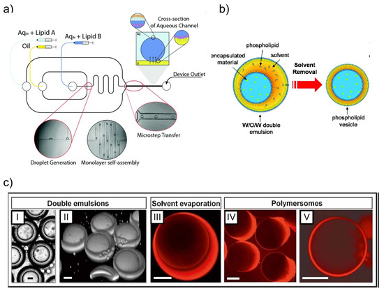 Micromachines 11 00788 g001