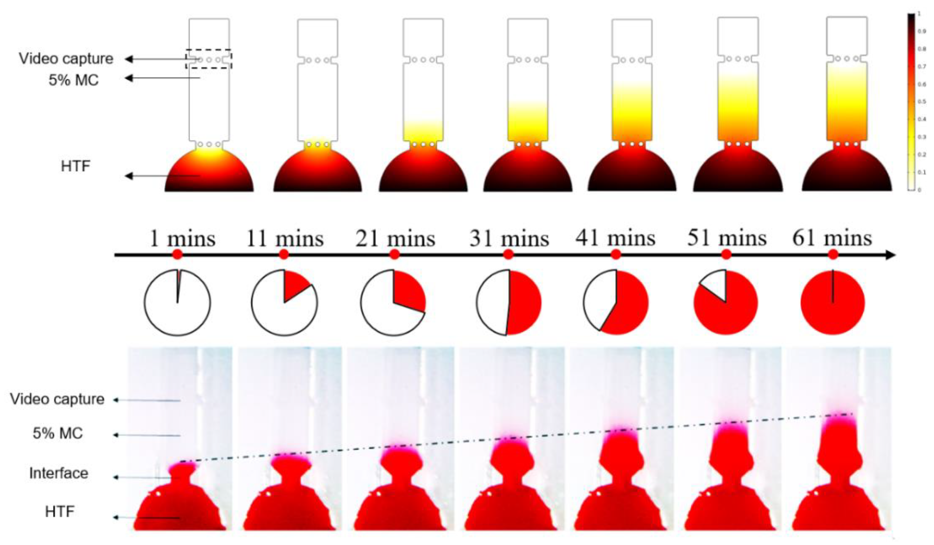 Micromachines 11 00793 g002