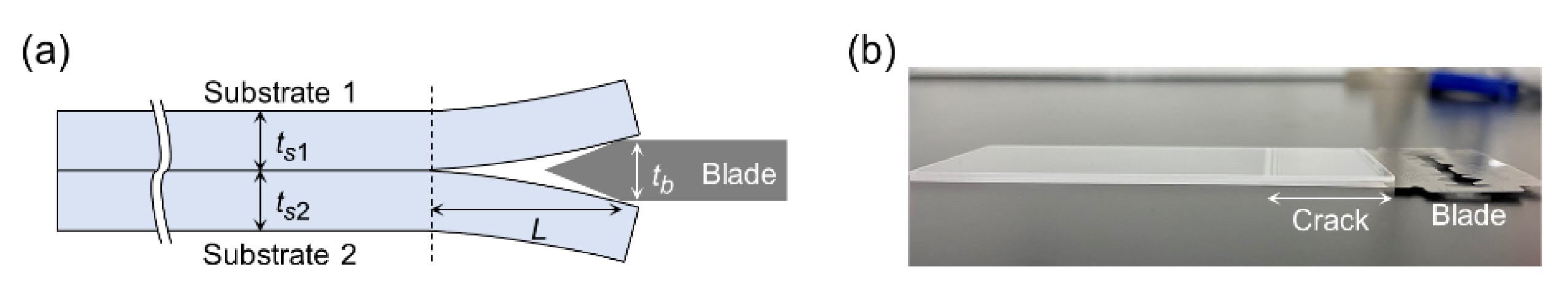 Micromachines 11 00804 g002