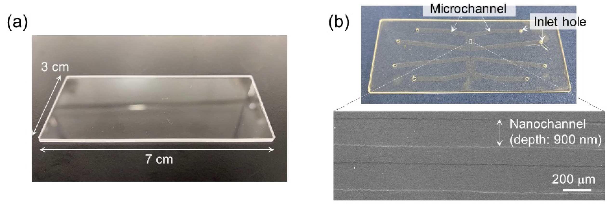 Micromachines 11 00804 g003
