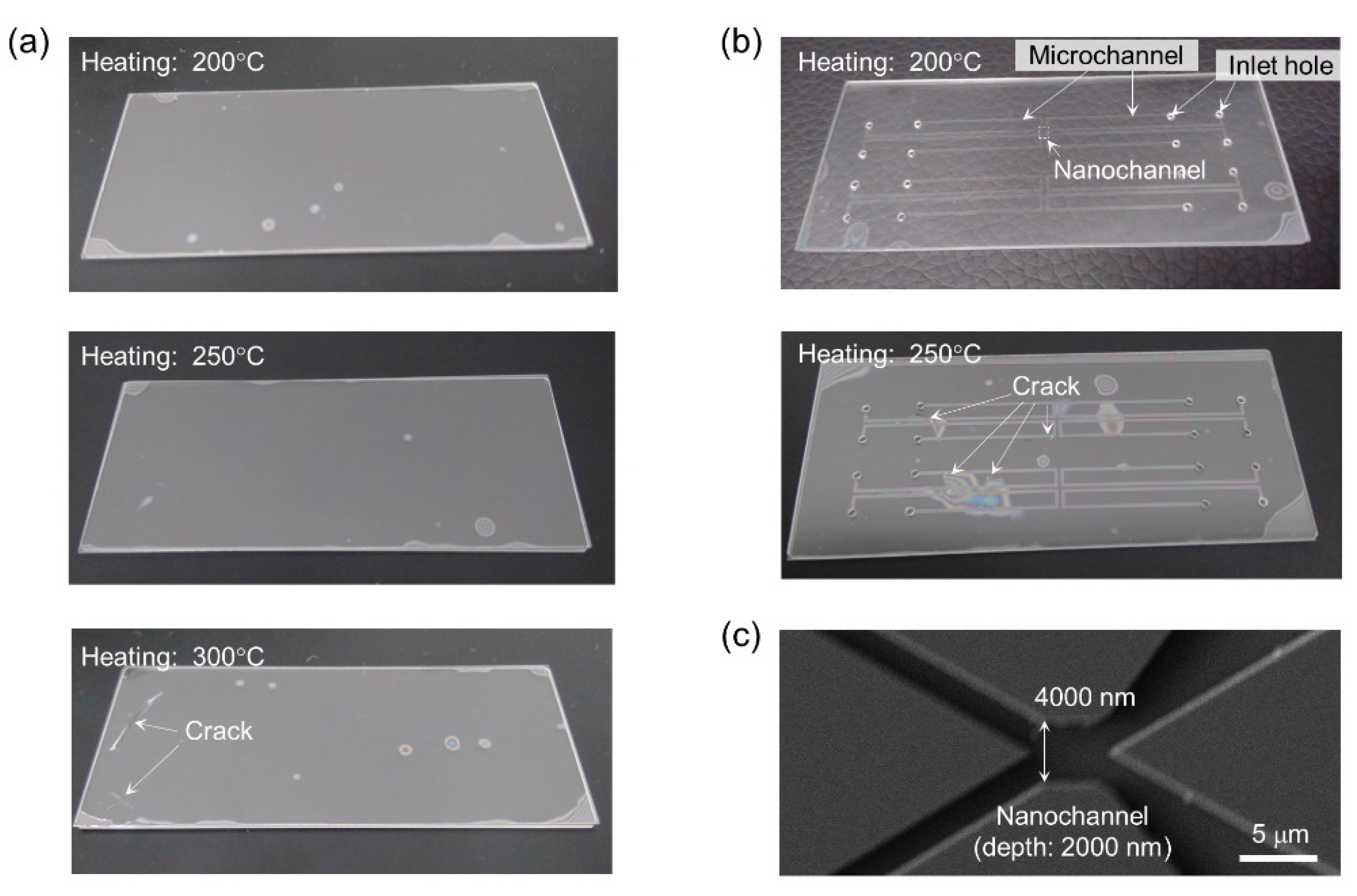Micromachines 11 00804 g005
