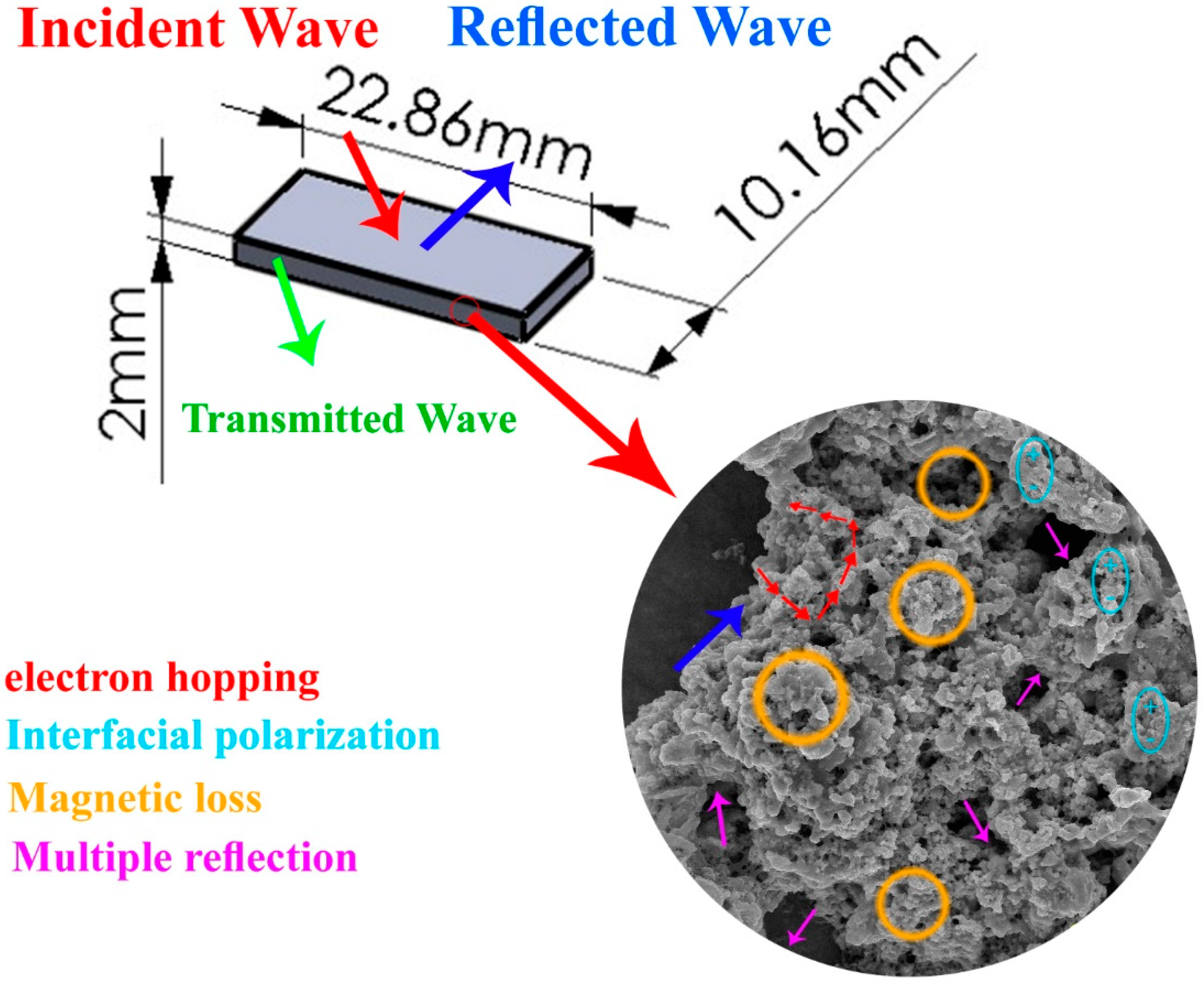 Micromachines 11 00809 g012