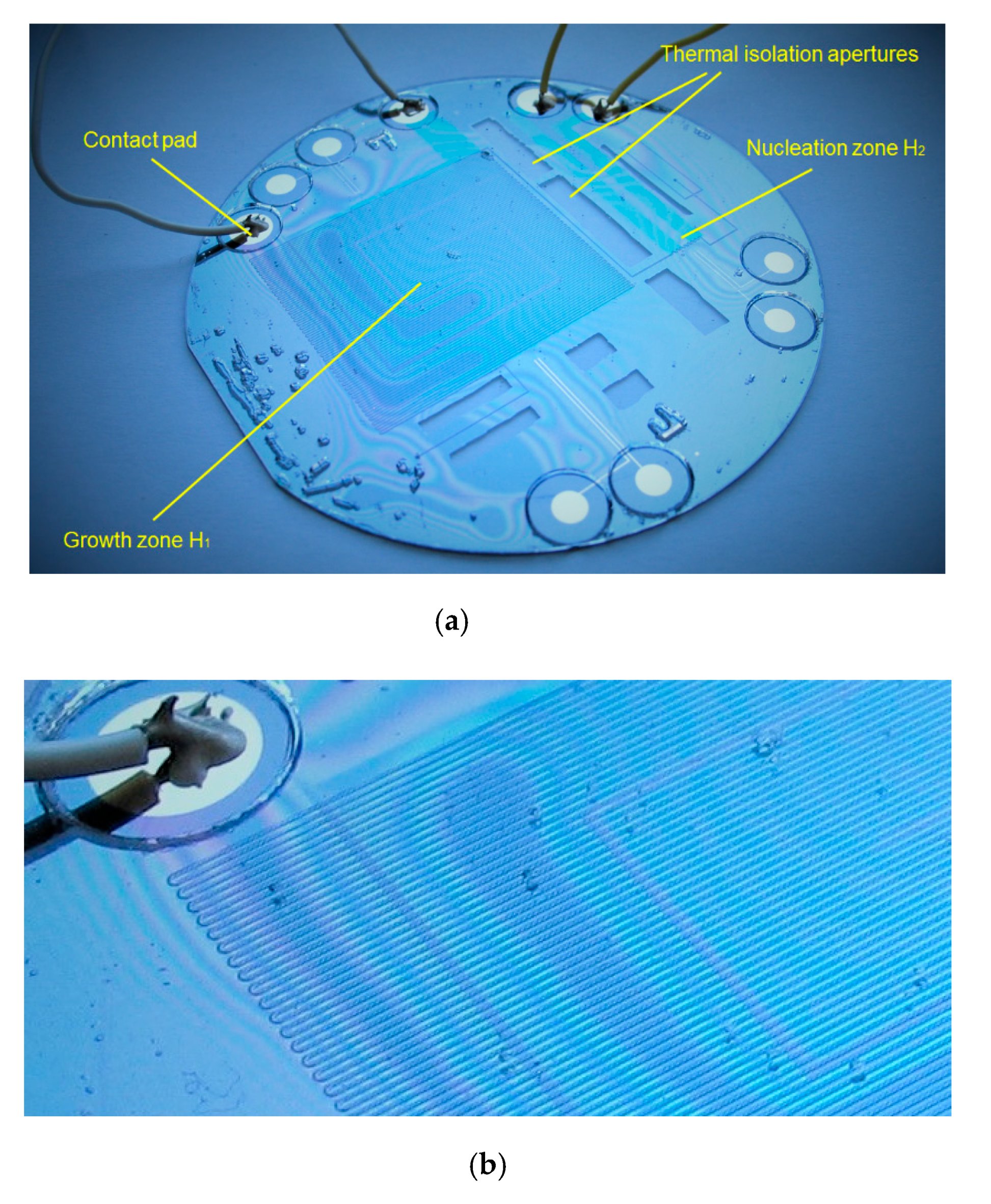 Micromachines 11 00818 g001