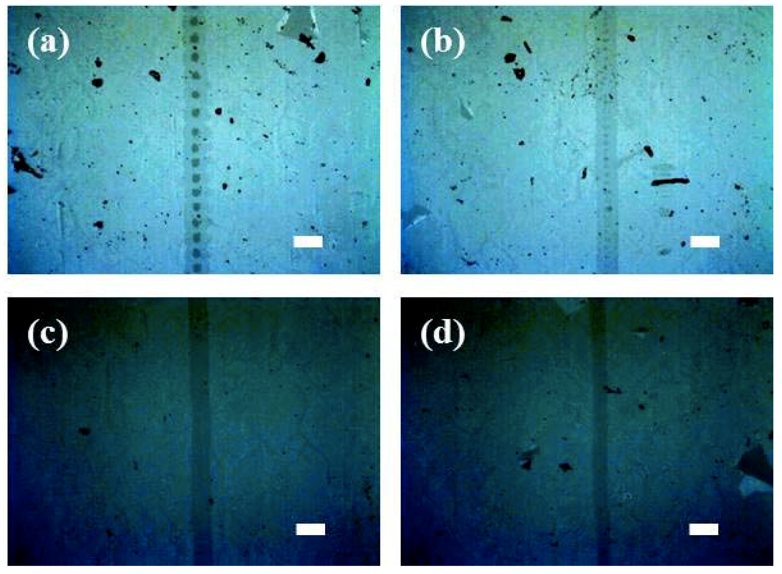 Micromachines 11 00821 g003