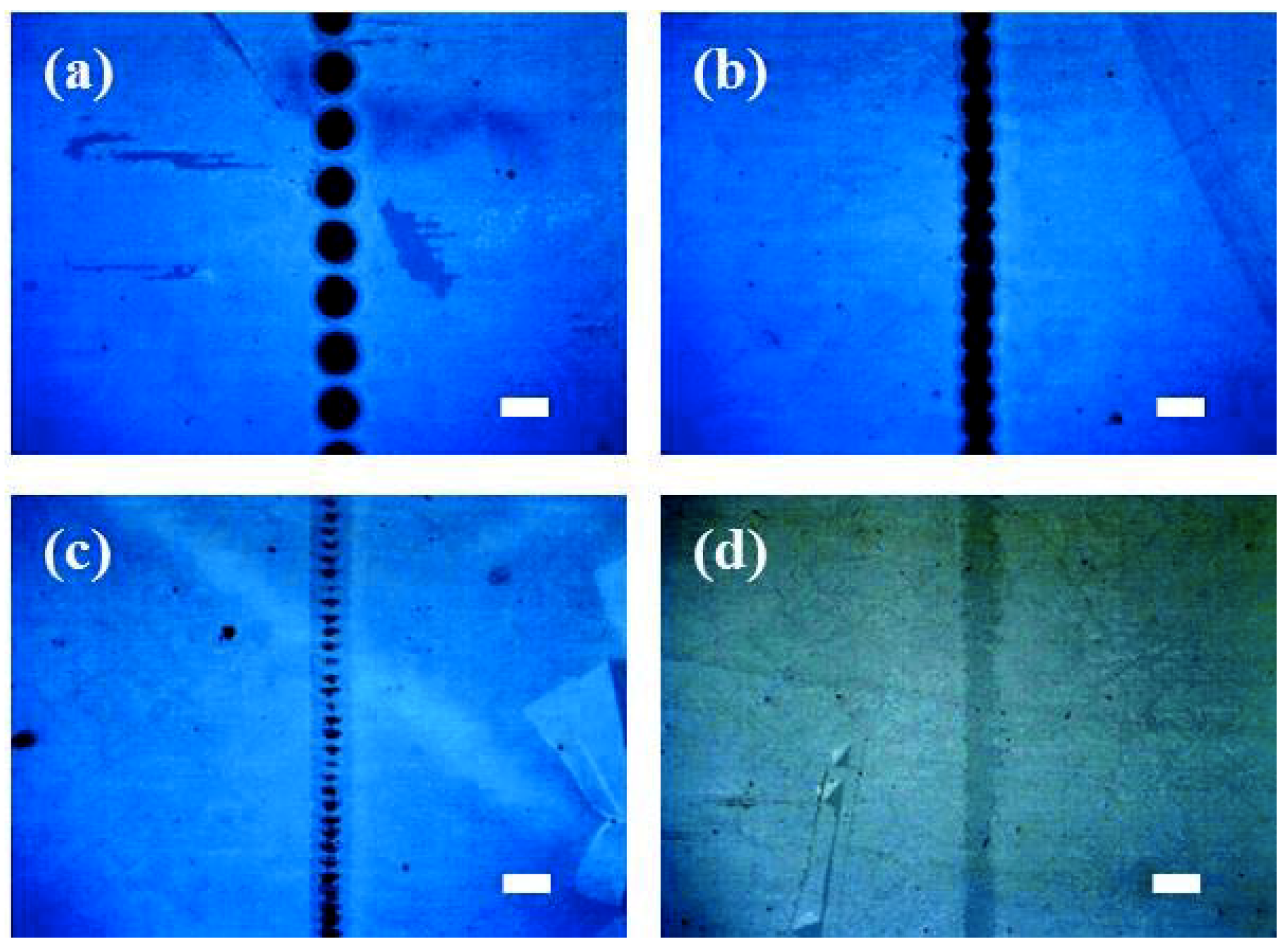 Micromachines 11 00821 g004