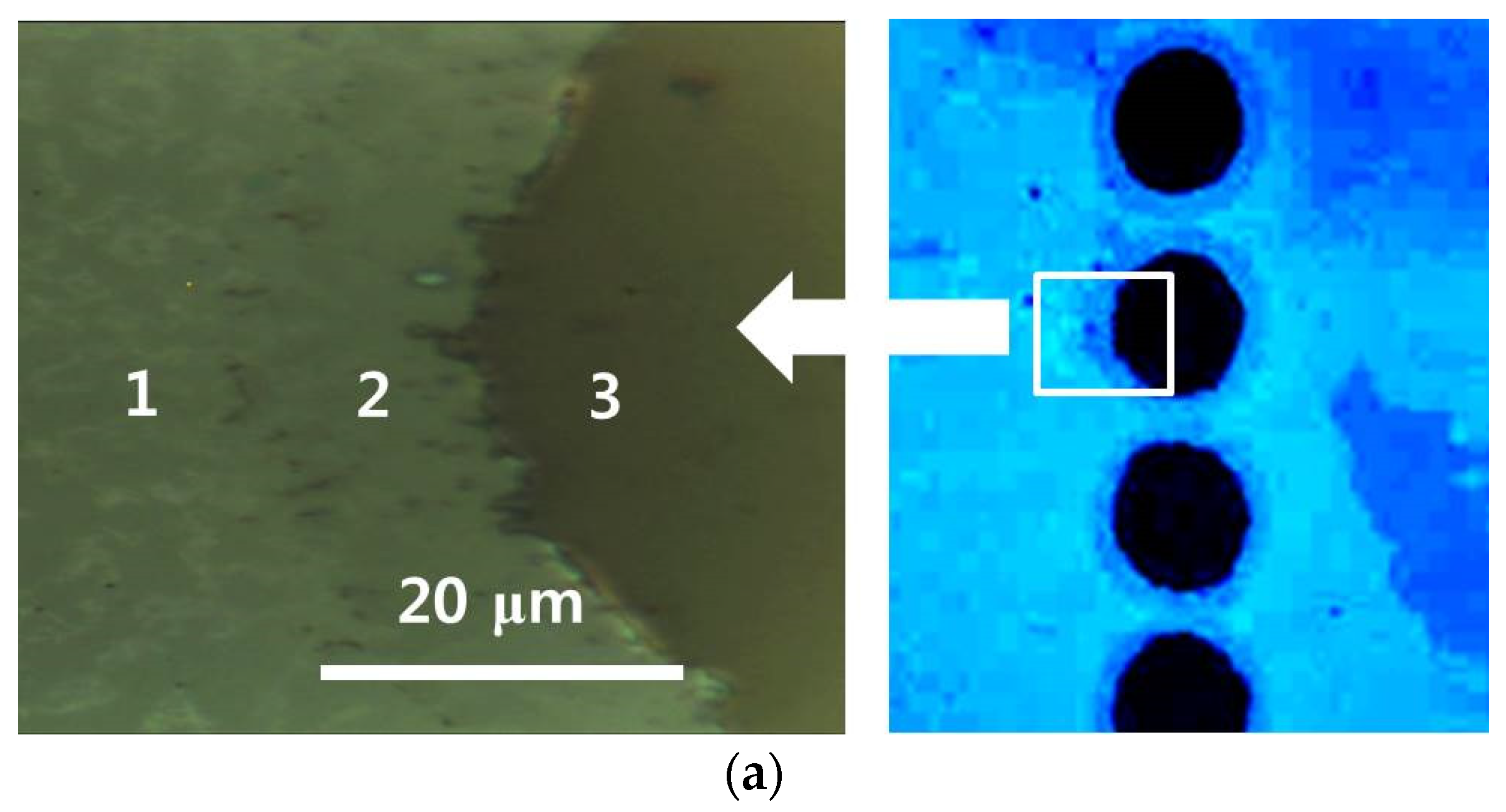 Micromachines 11 00821 g007a