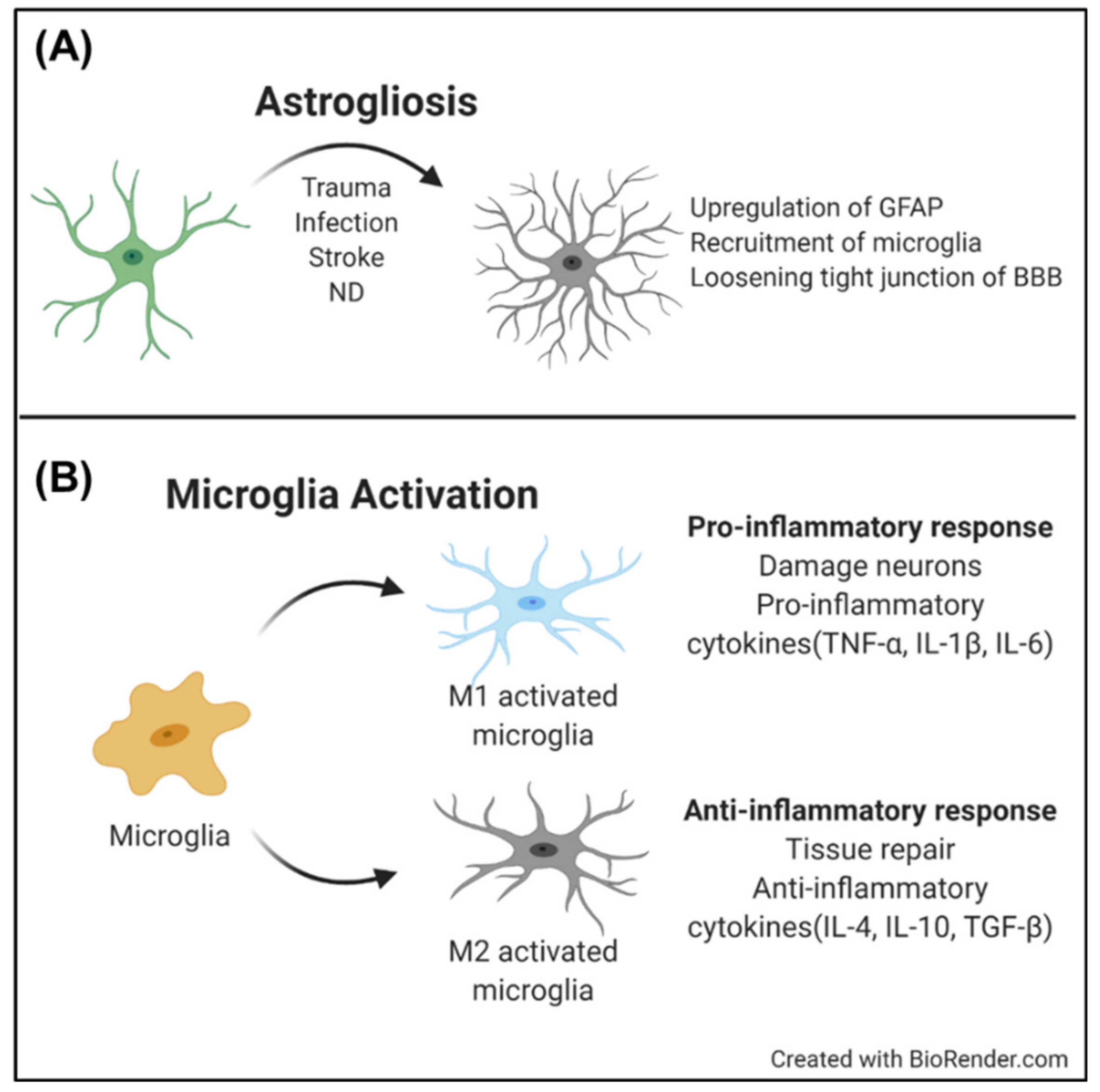 Micromachines 11 00855 g003