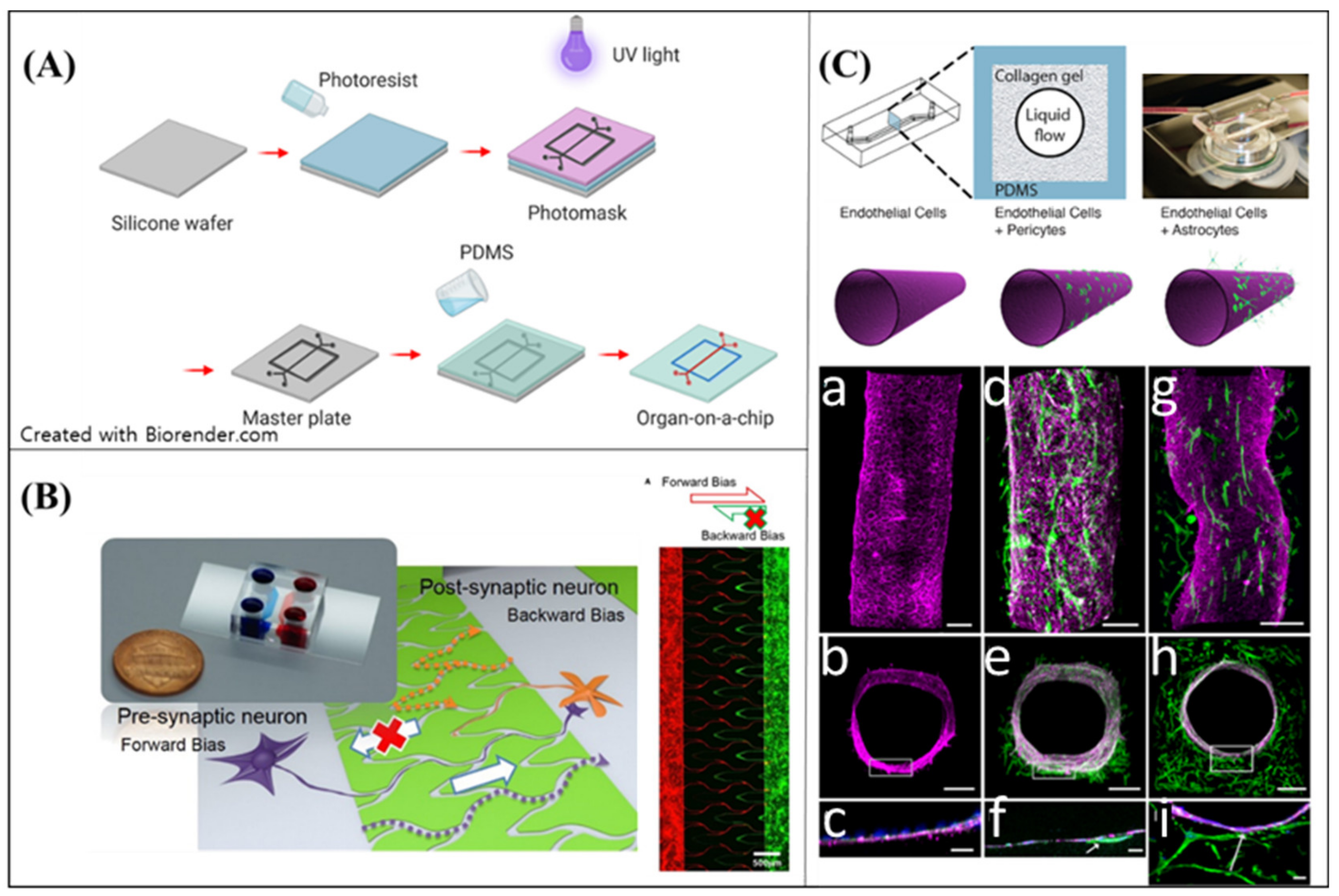 Micromachines 11 00855 g005