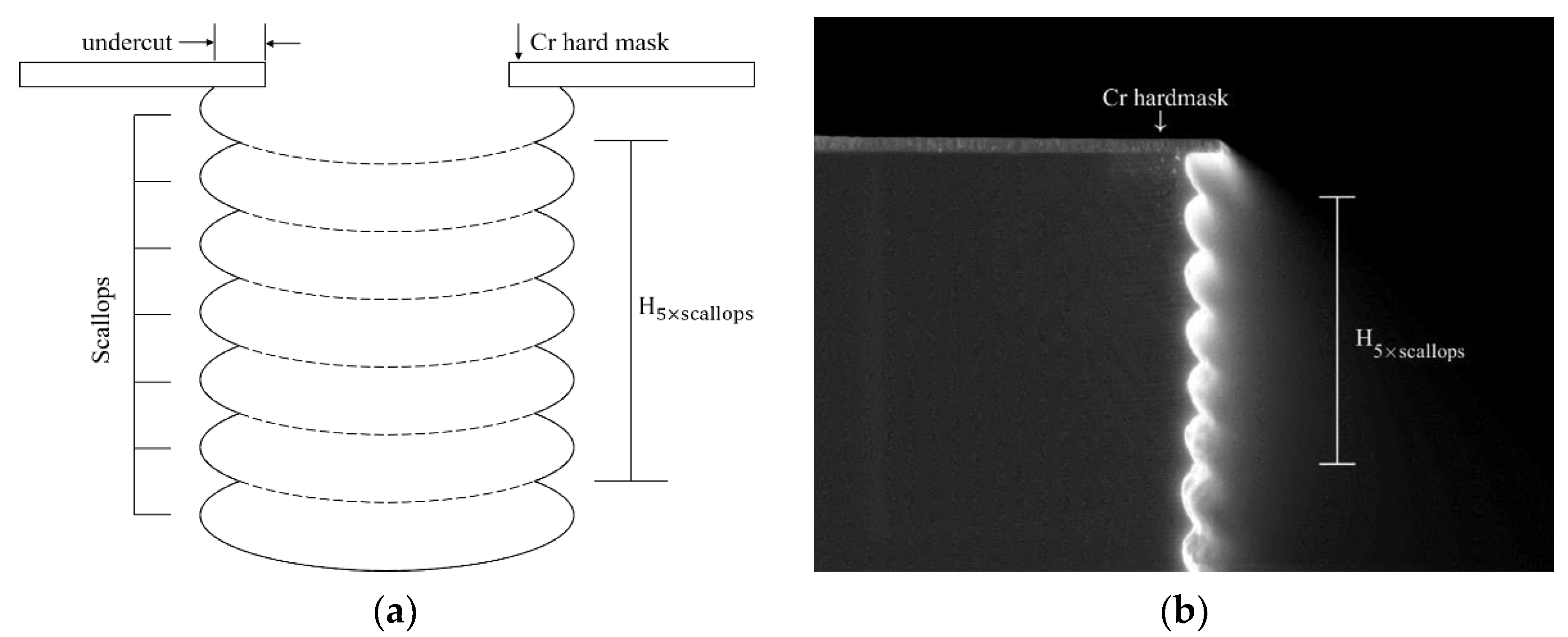 Micromachines 11 00864 g002 Micromachines 11 00864 g002