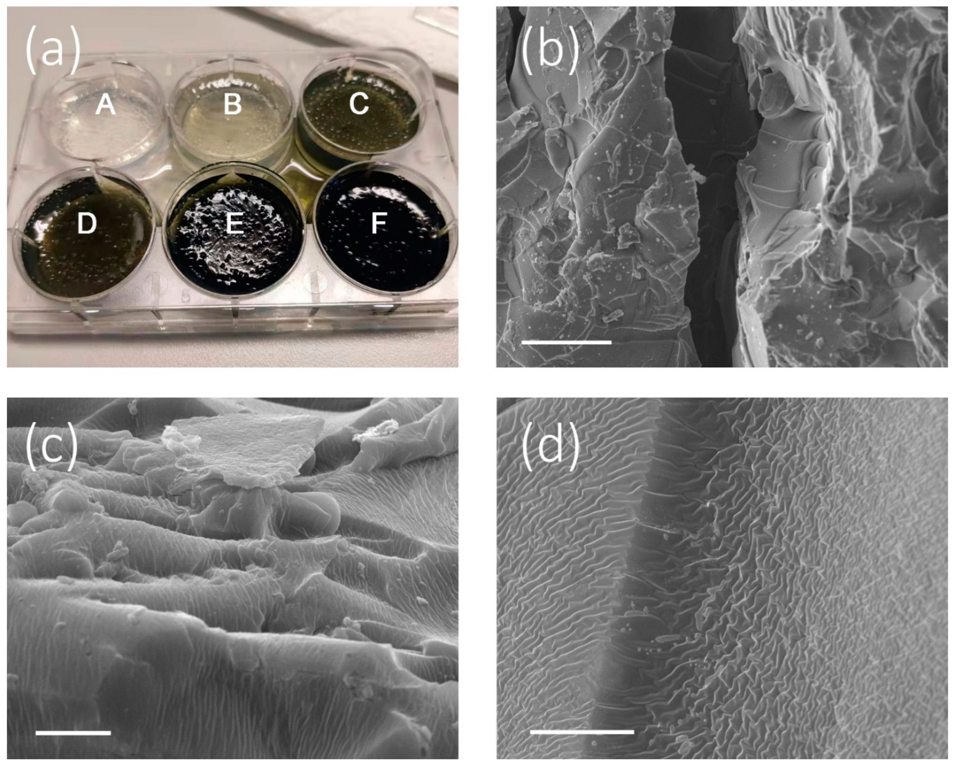 Micromachines 11 00867 g003 Micromachines 11 00867 g003