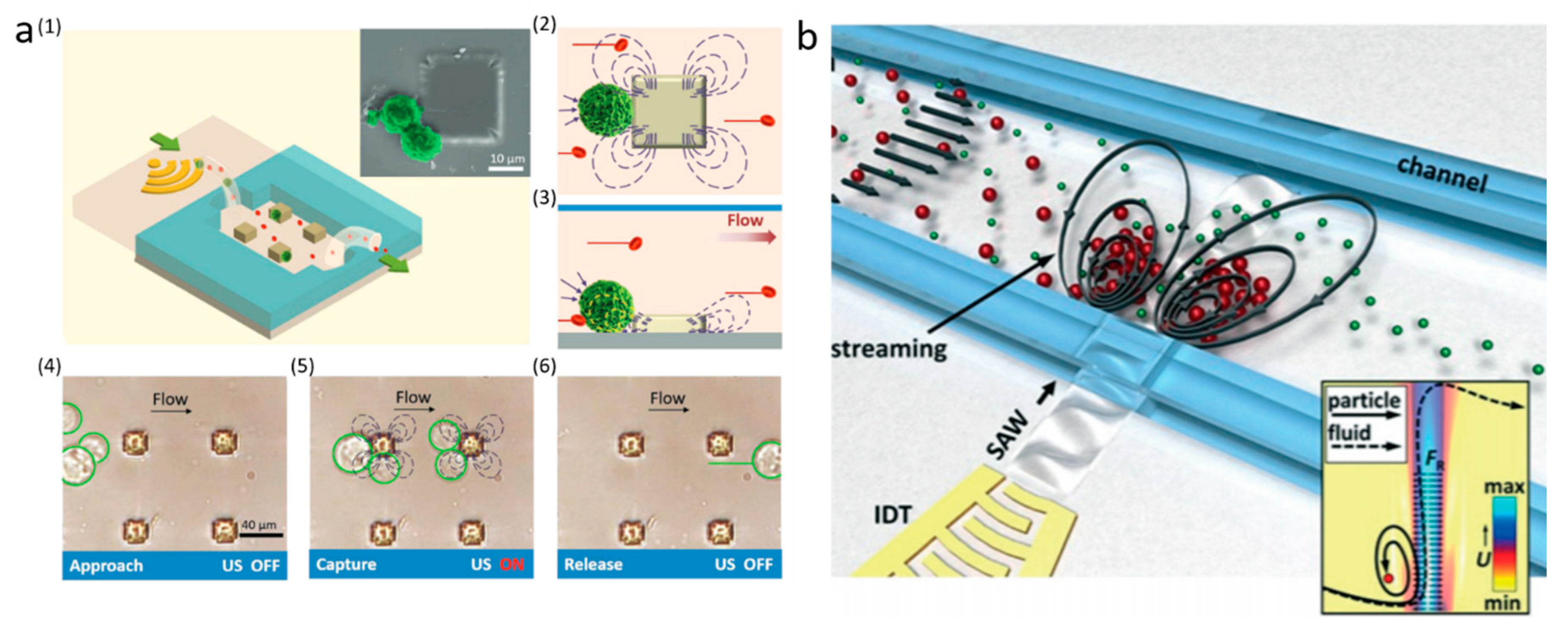 Micromachines 11 00921 g005