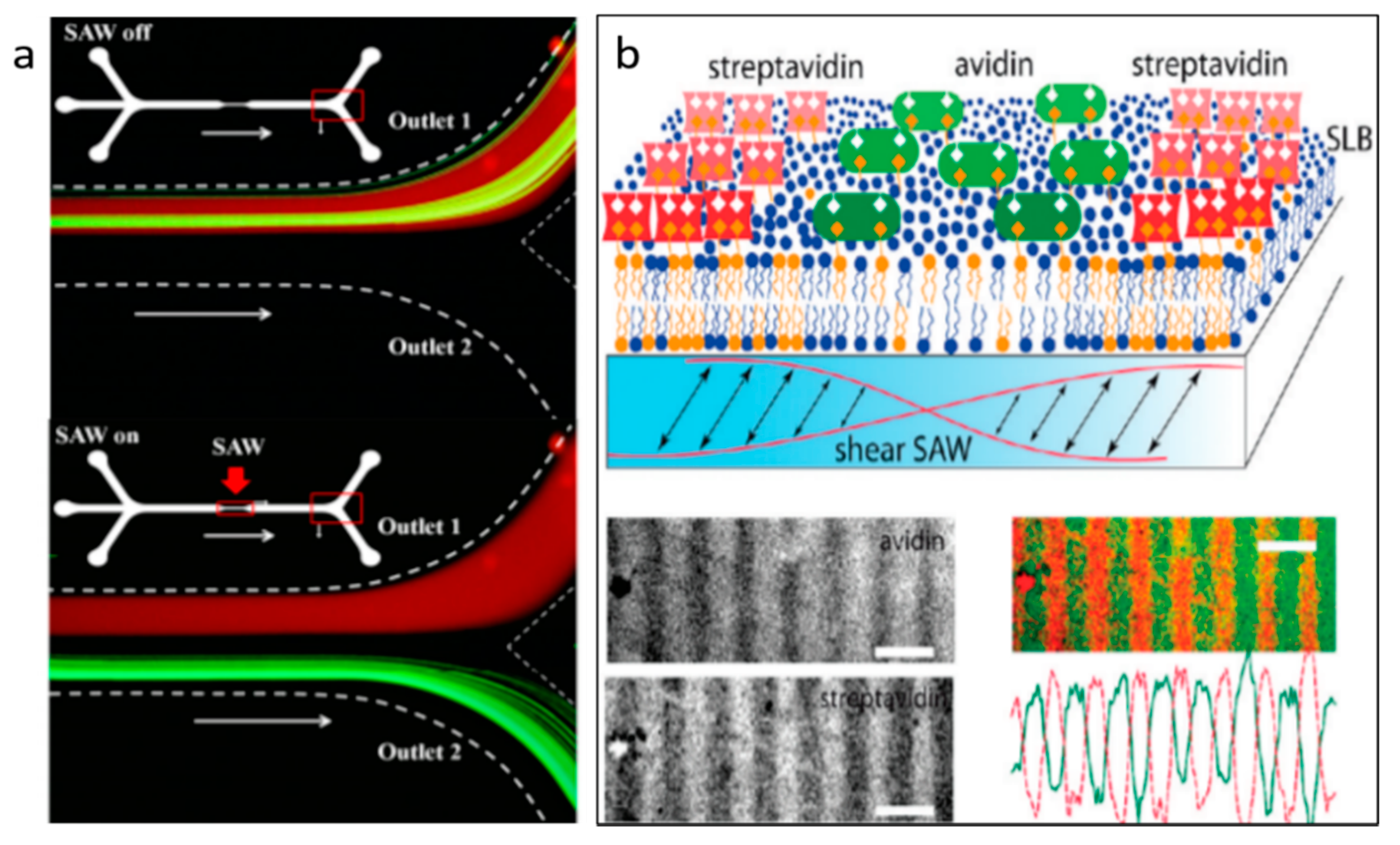Micromachines 11 00921 g006