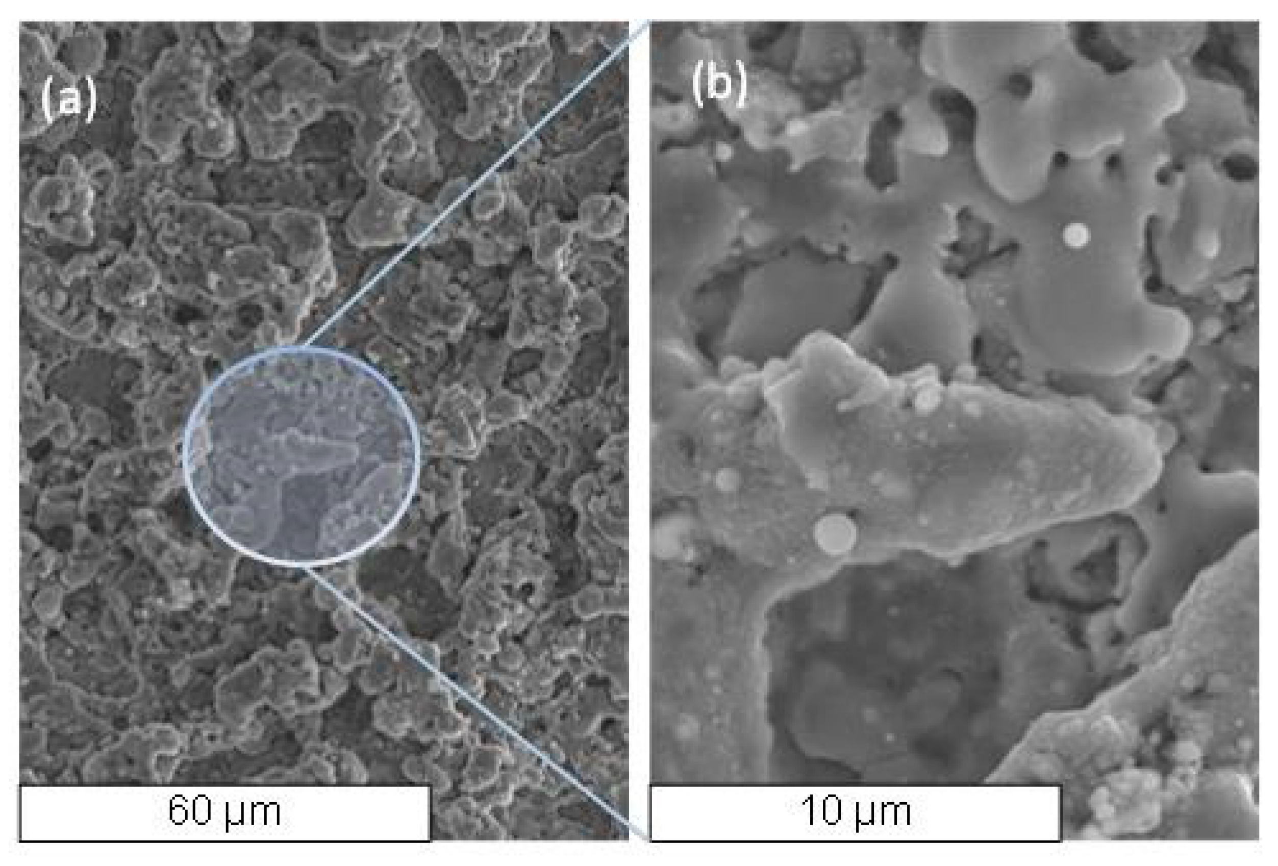 Micromachines 11 00932 g012