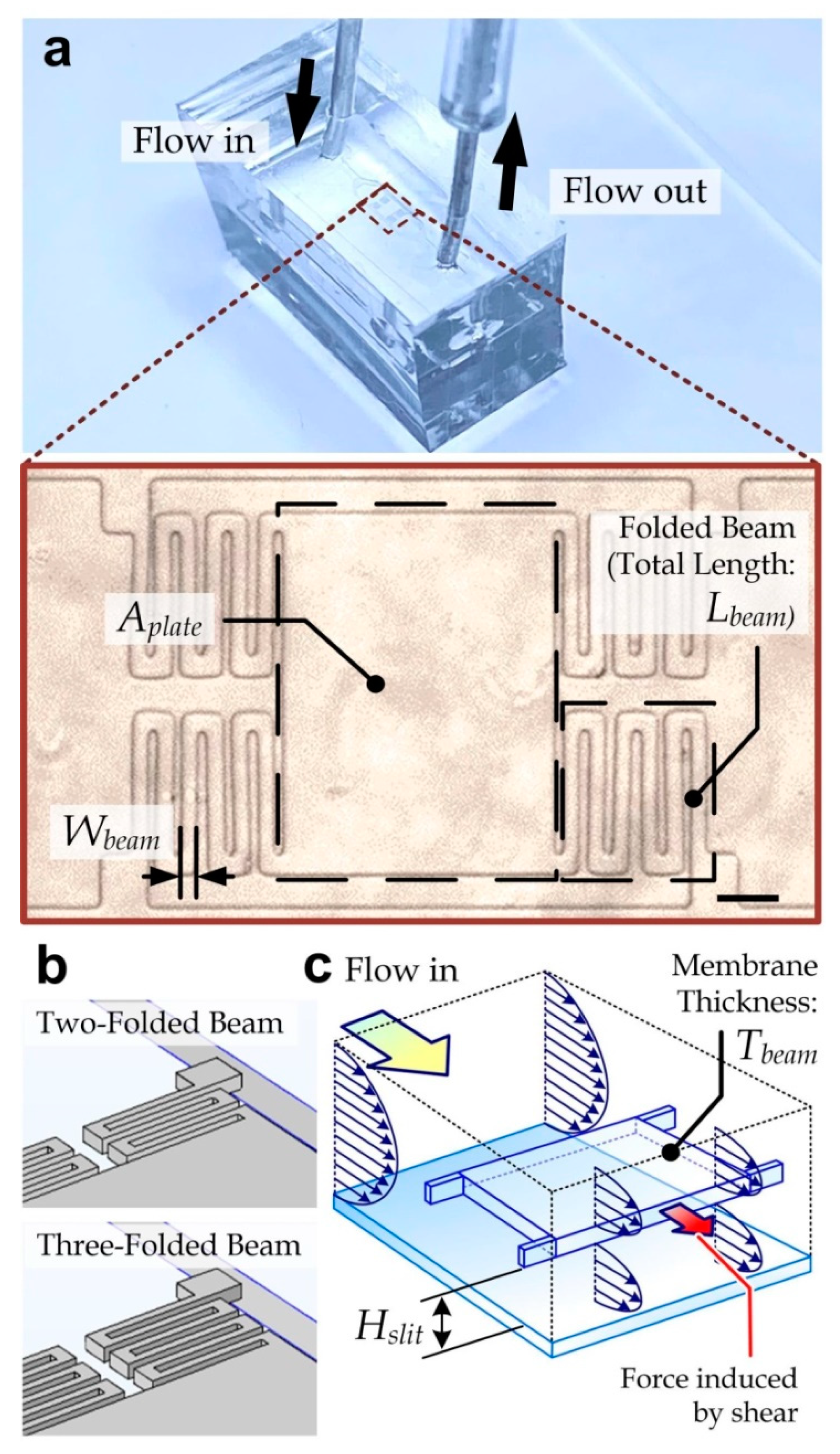 Micromachines 11 00934 g001