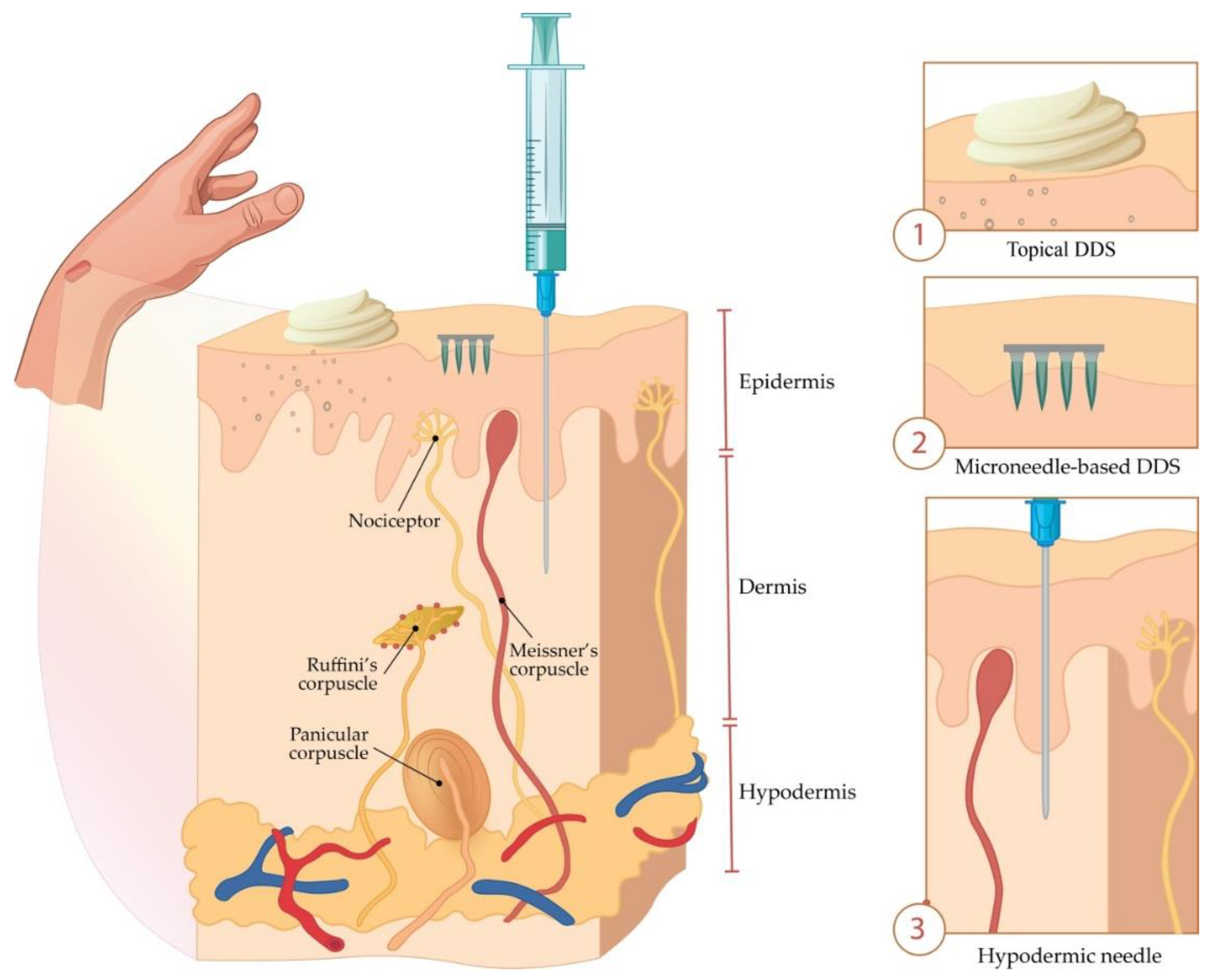 Micromachines 11 00961 g001 Micromachines 11 00961 g001