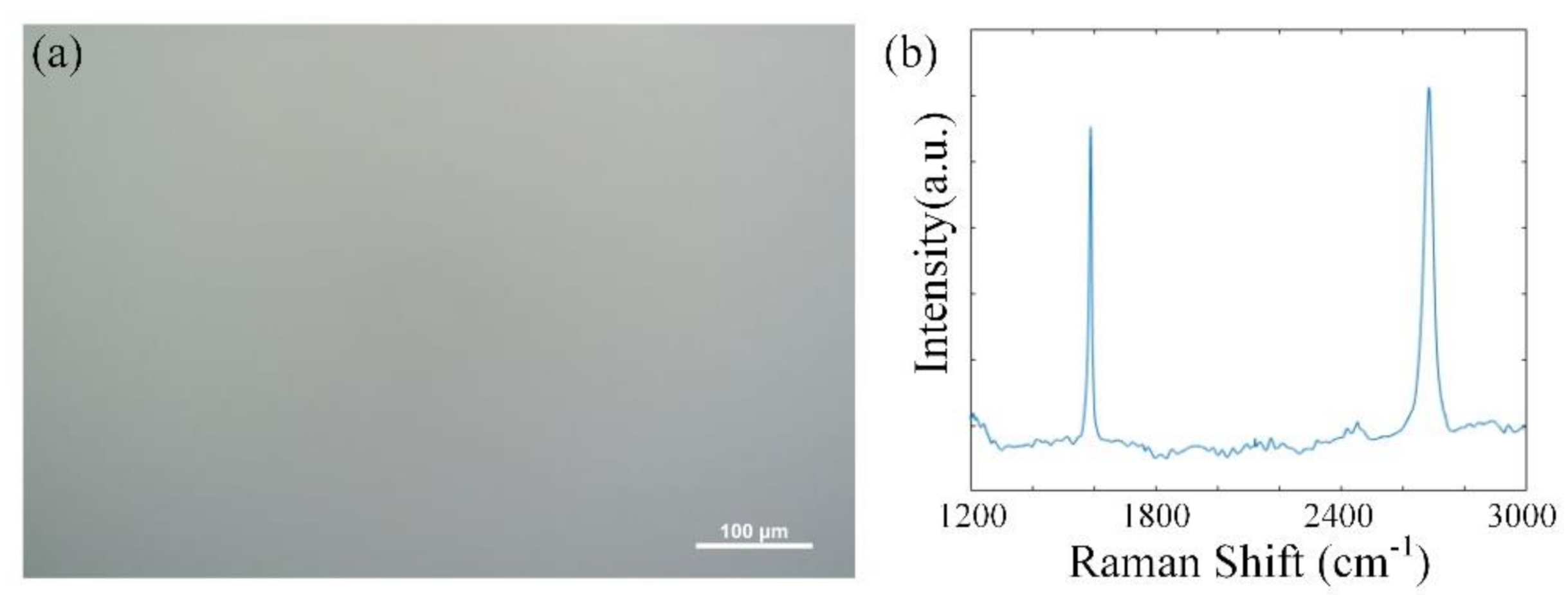 Micromachines 11 01039 g003