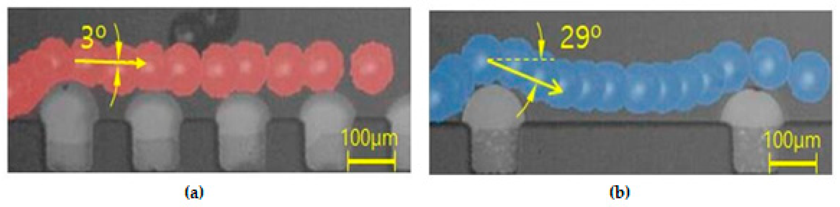 Micromachines 11 01040 g009