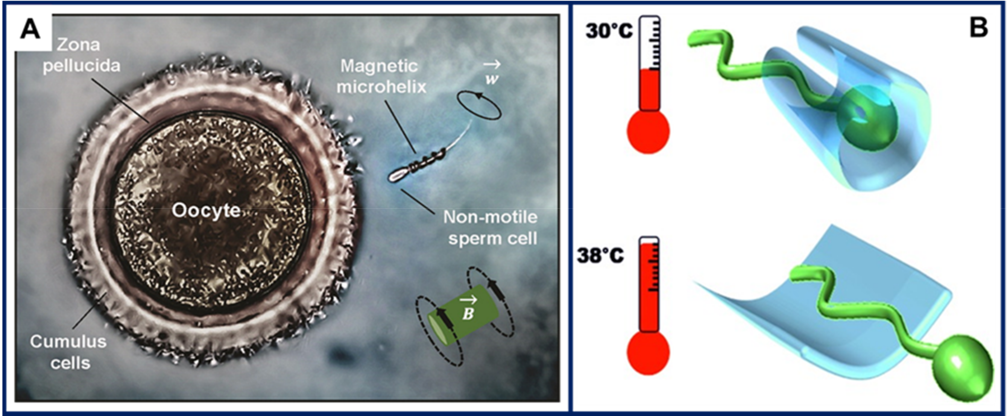 Micromachines 11 01048 g006 Micromachines 11 01048 g006