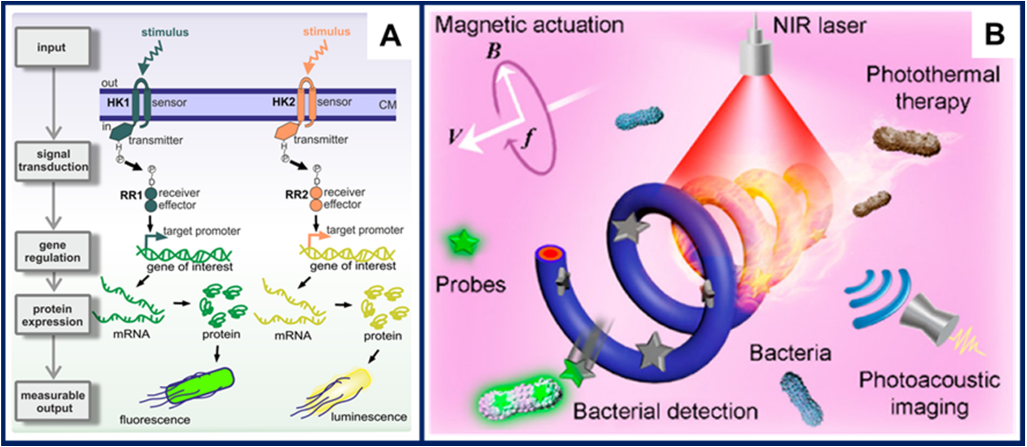 Micromachines 11 01048 g007 Micromachines 11 01048 g007