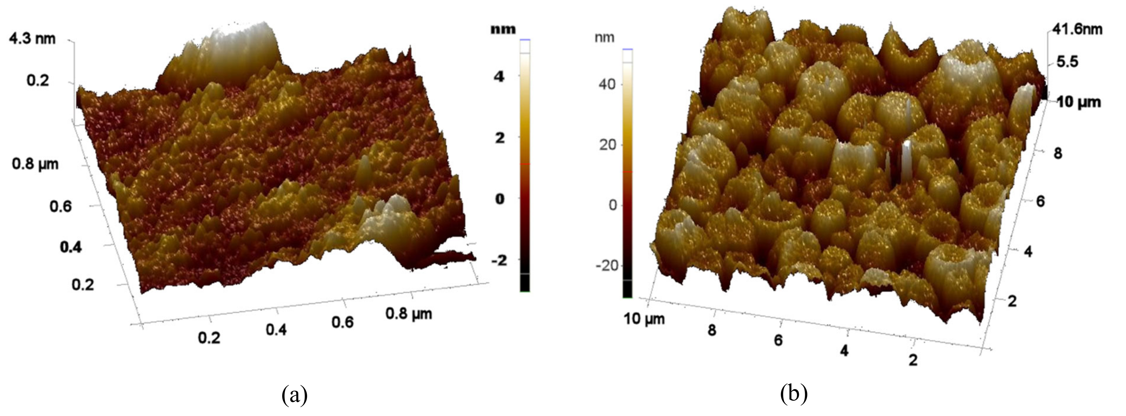 Micromachines 11 01073 g002