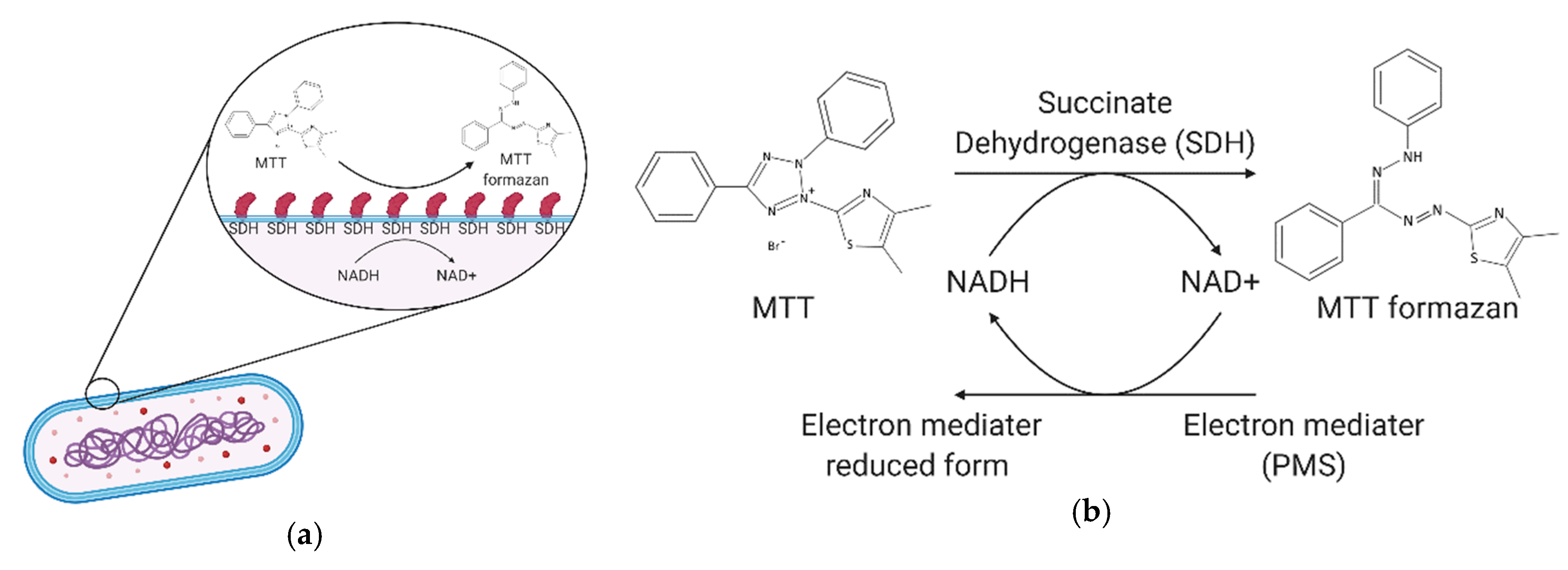 Micromachines 11 01079 g003 Micromachines 11 01079 g003