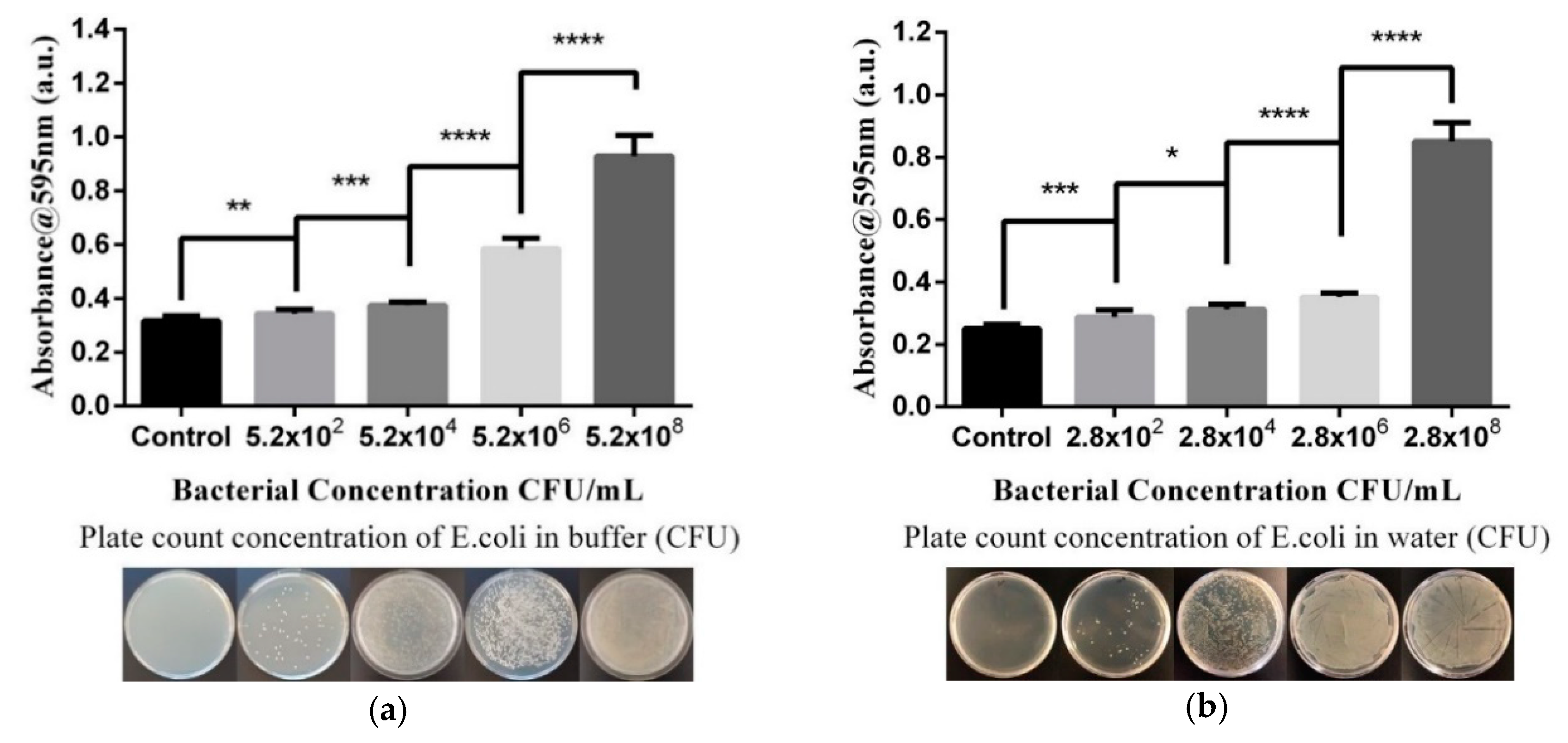 Micromachines 11 01079 g004 Micromachines 11 01079 g004