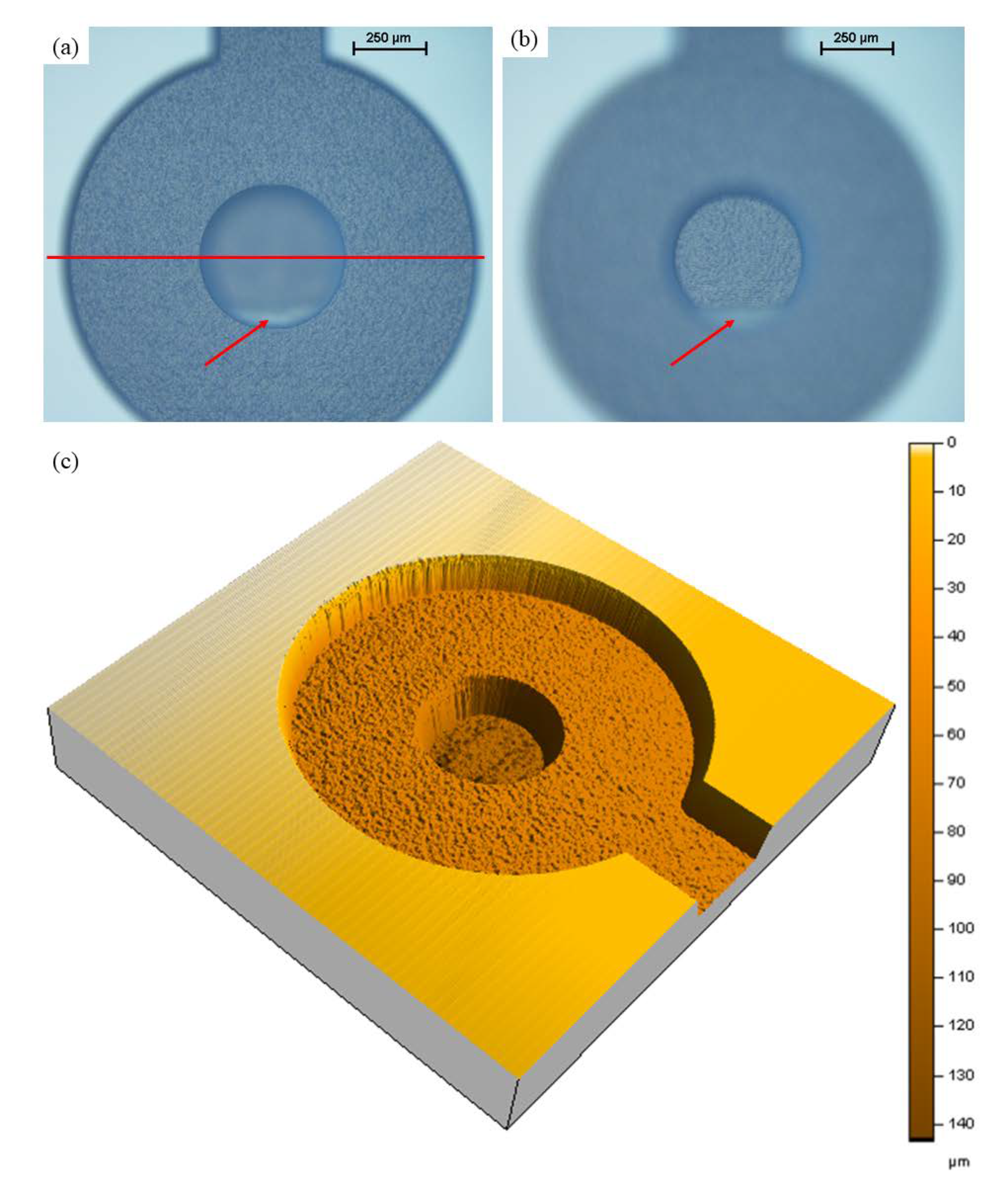 Micromachines 11 01082 g009