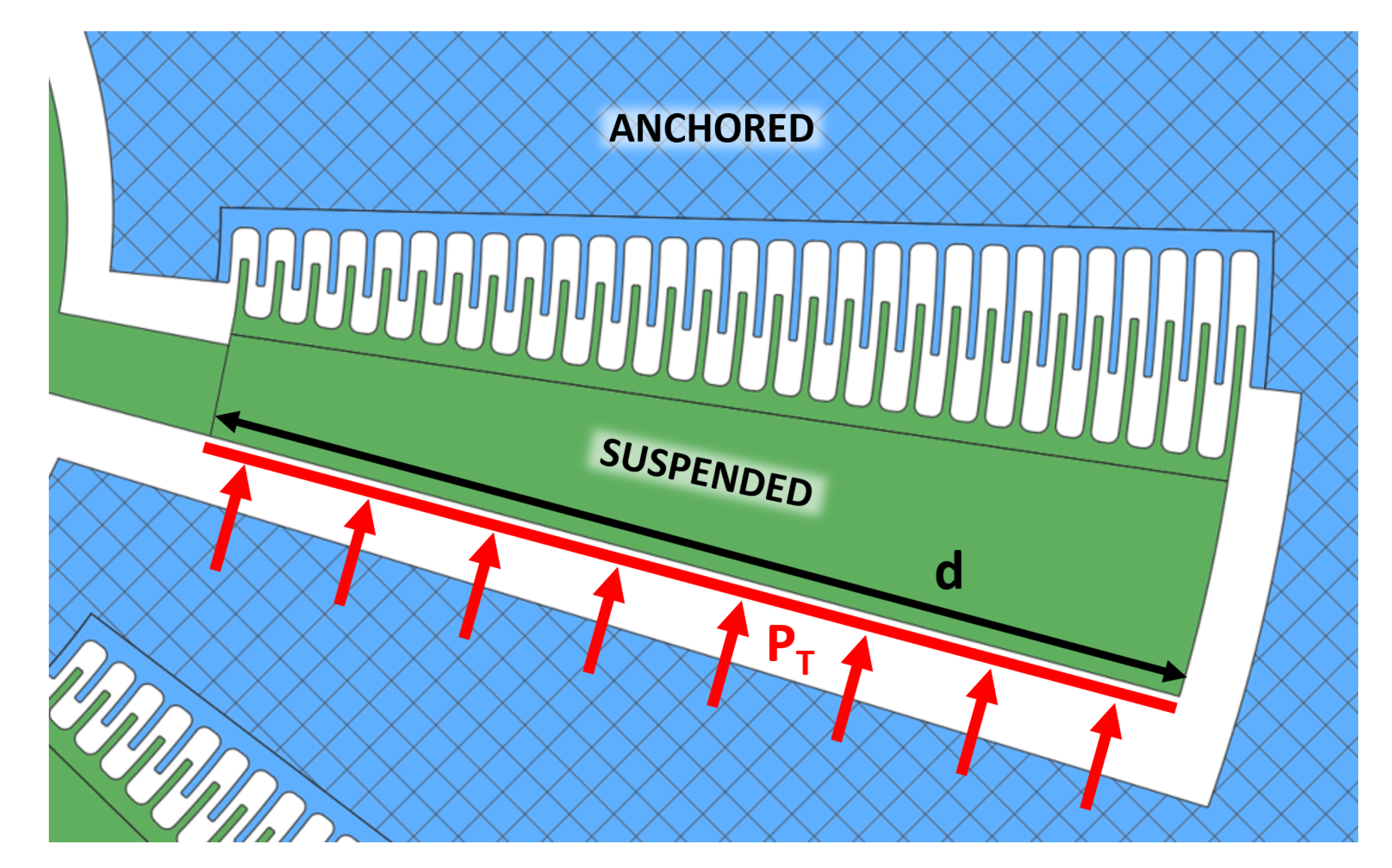 Micromachines 11 01087 g005