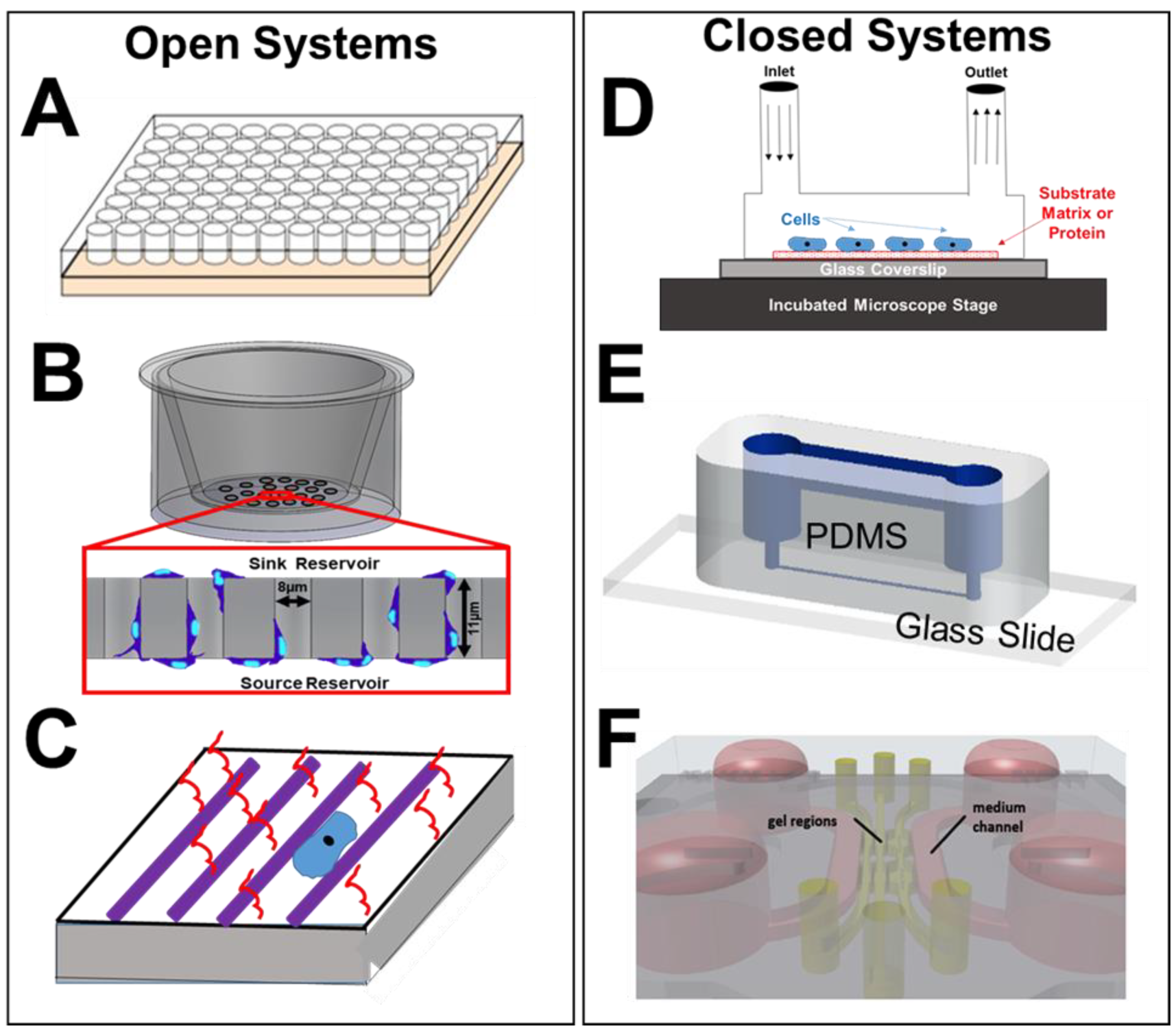 Micromachines 11 01089 g005