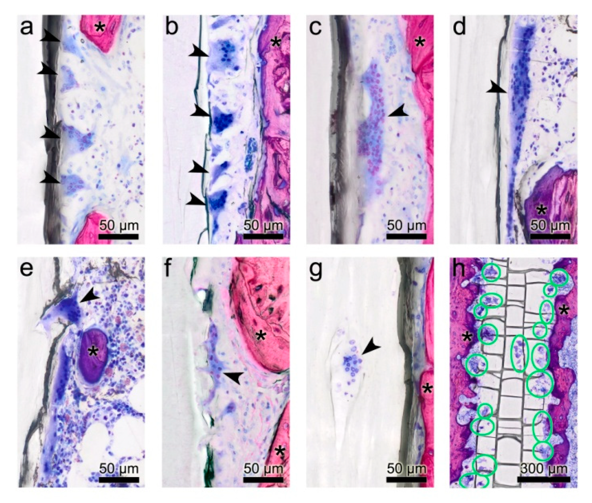 Micromachines 11 01098 g004